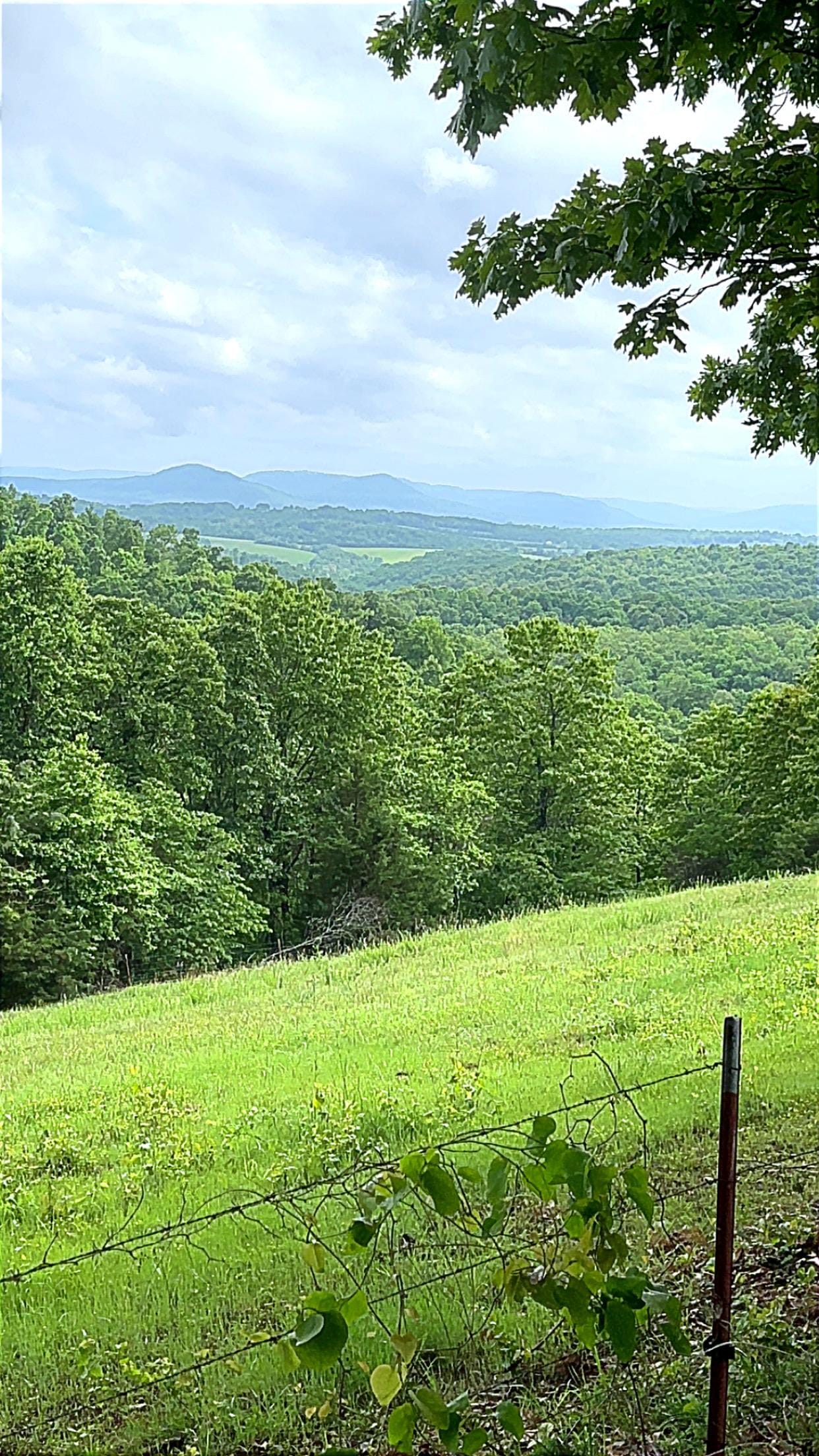 Beautiful countryside all around near Jasper! 