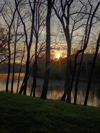 Sunrise from the river across the road