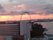 View from the roof.
