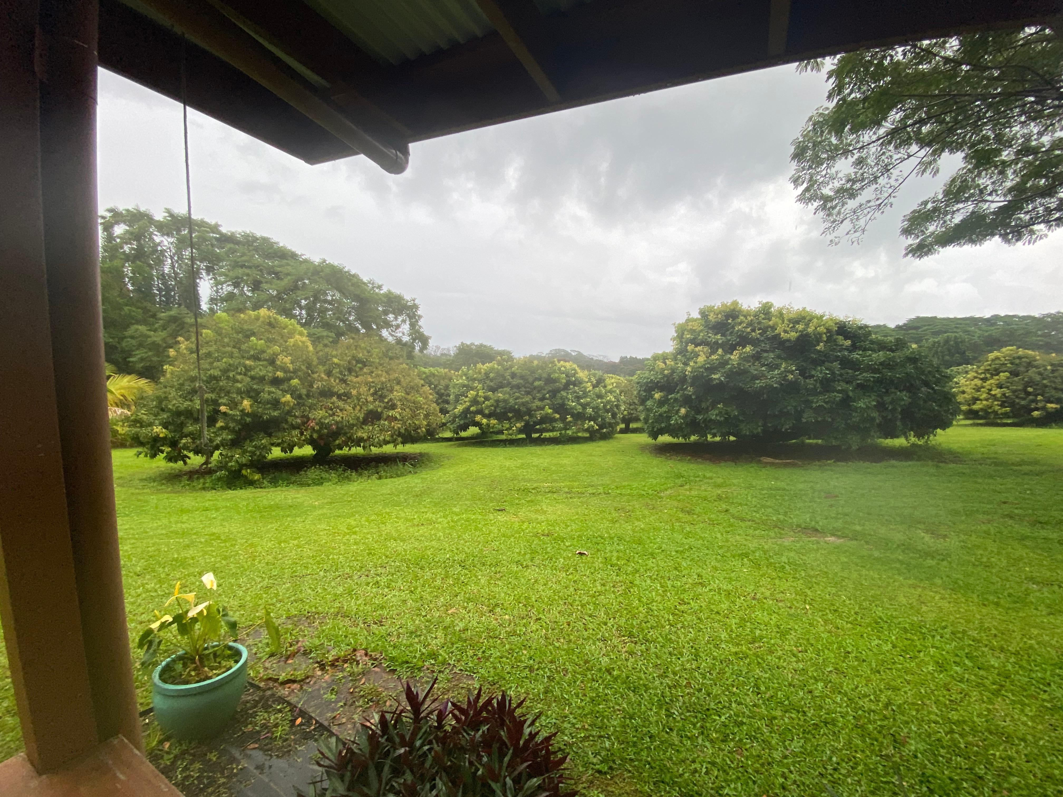 Even on cloudy days the view from the lanai was pretty.
