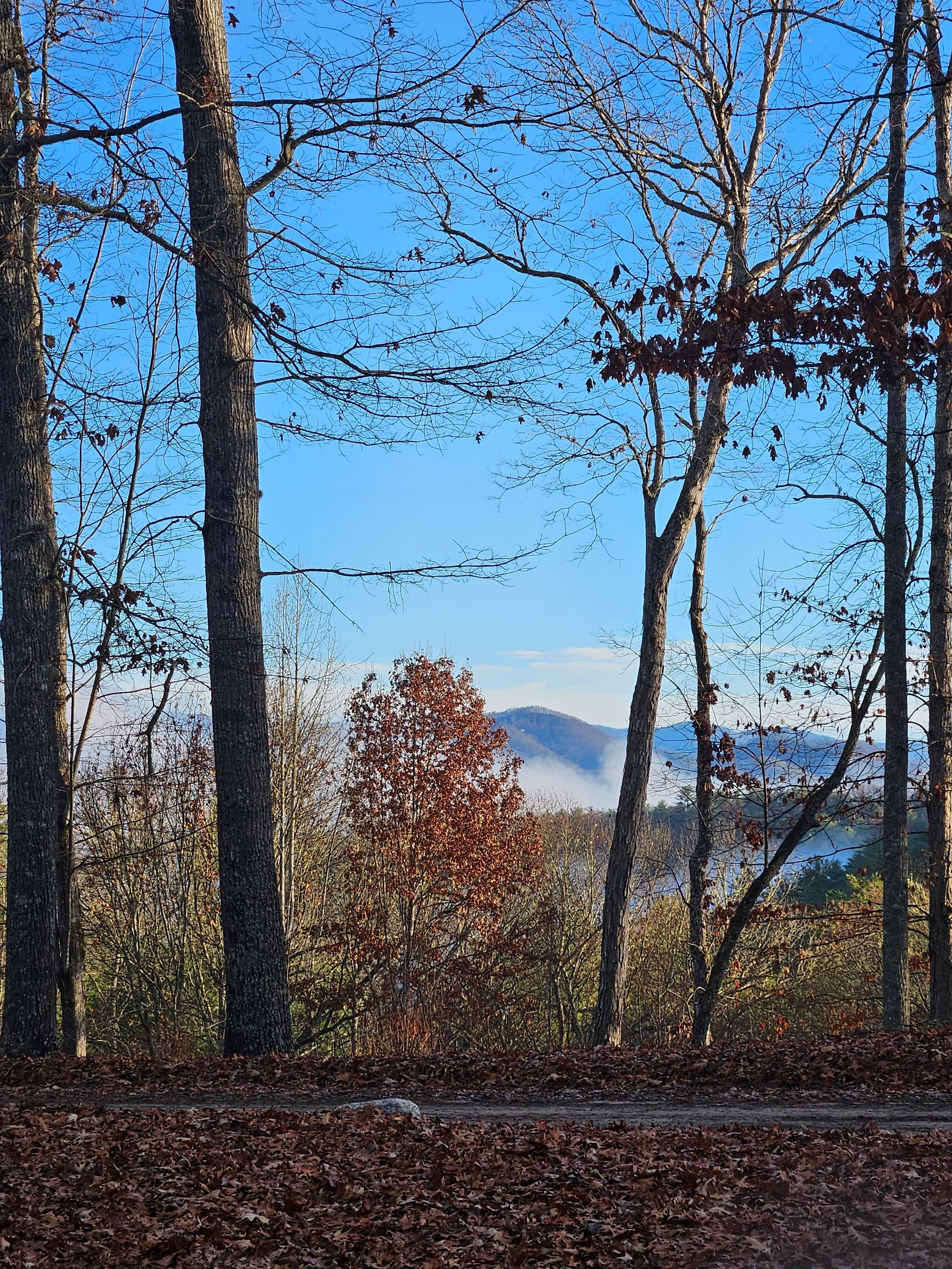 View from front door