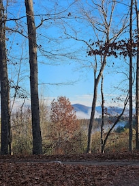 View from front door