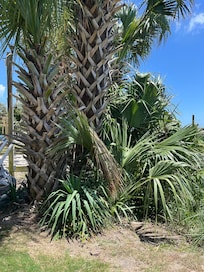 View from tanning deck!