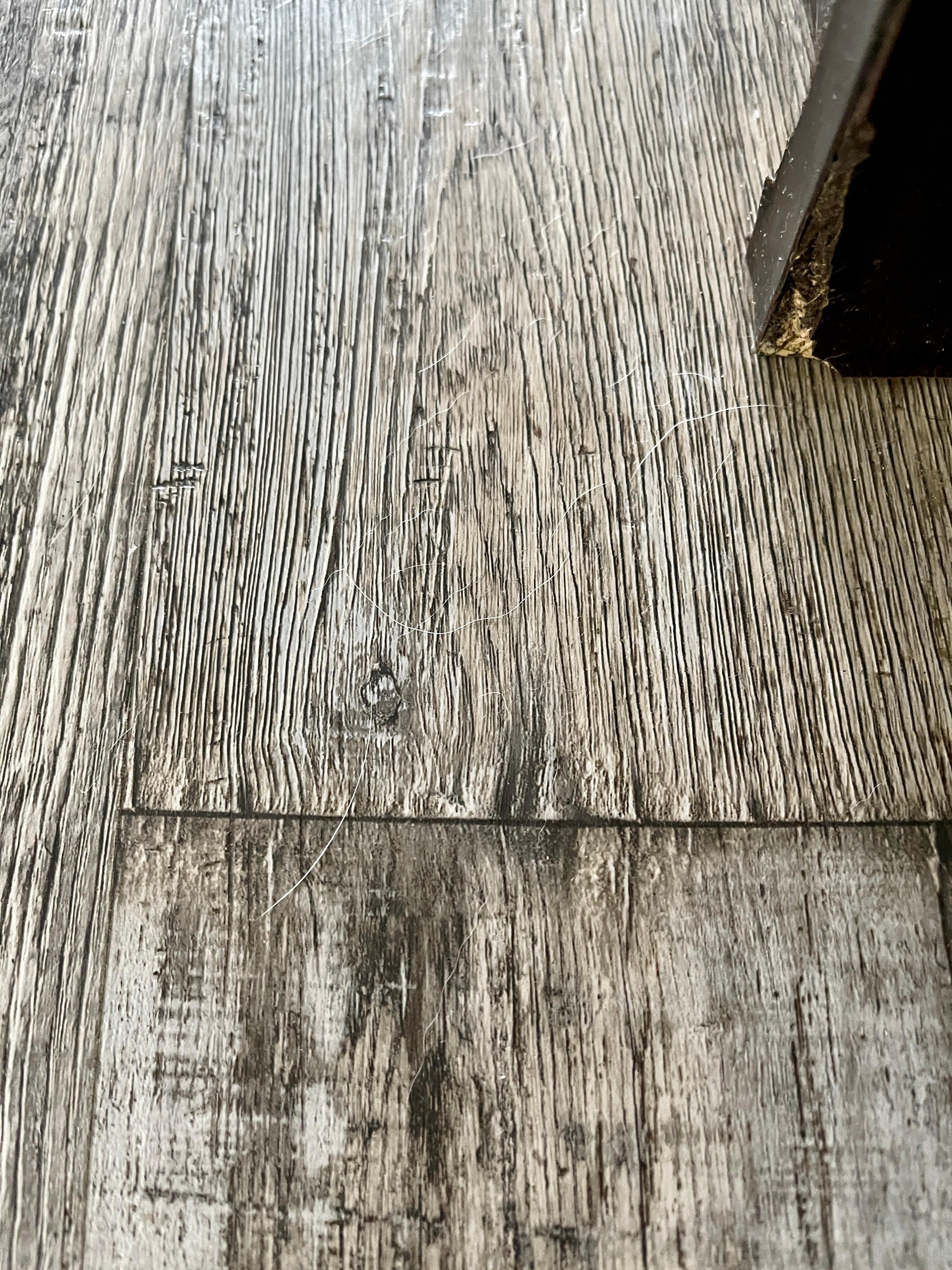 Closer picture of dog hair; I’m paying extra so my pet doesn’t cause this kind of issue; and here I am dealing with the last dog resident.