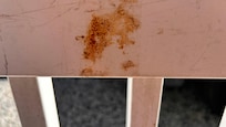 Looked like a blood stain