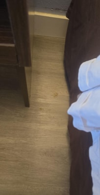 Sticky gross stuff on the floor