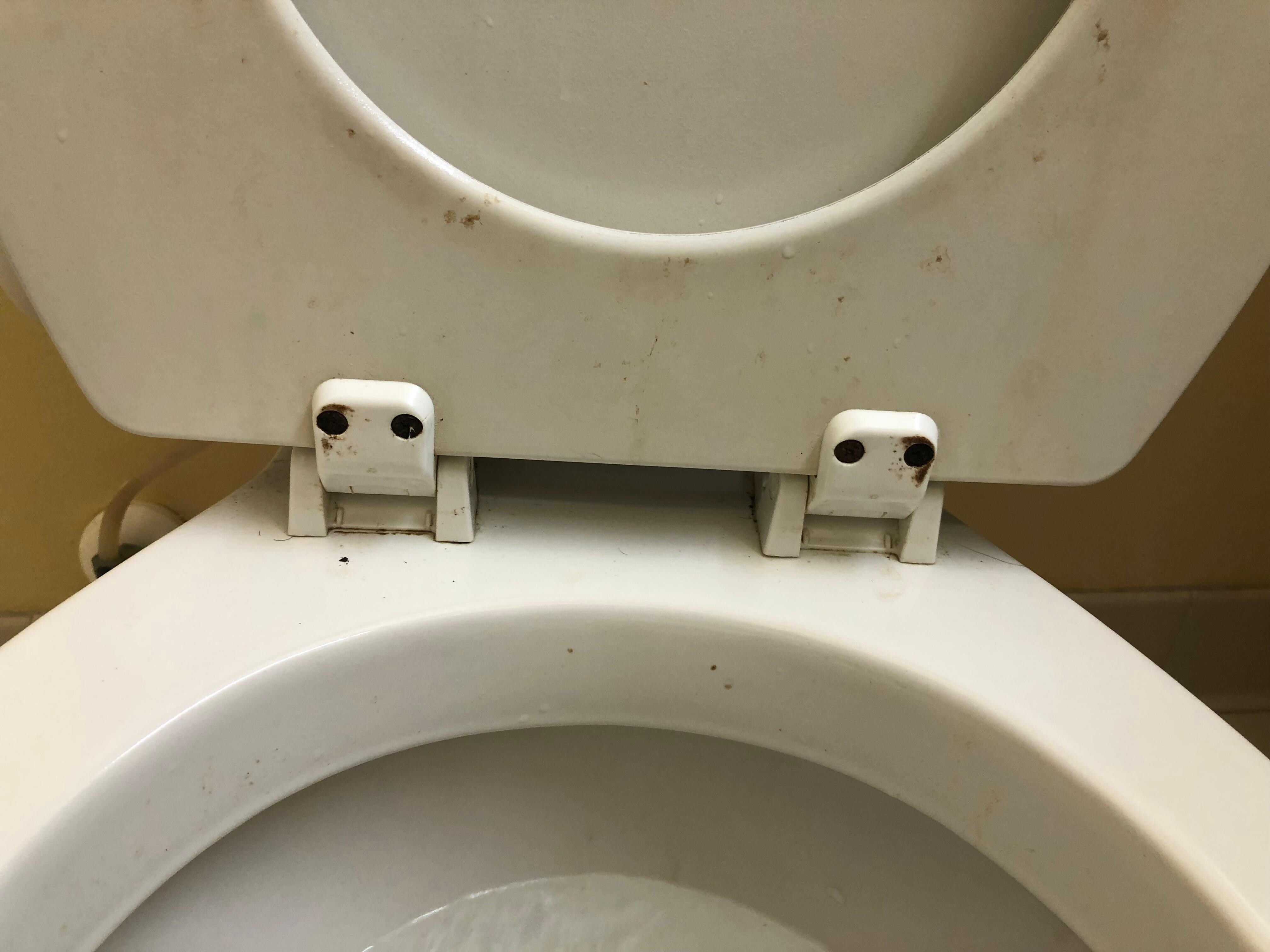 Fecal matter on toilet