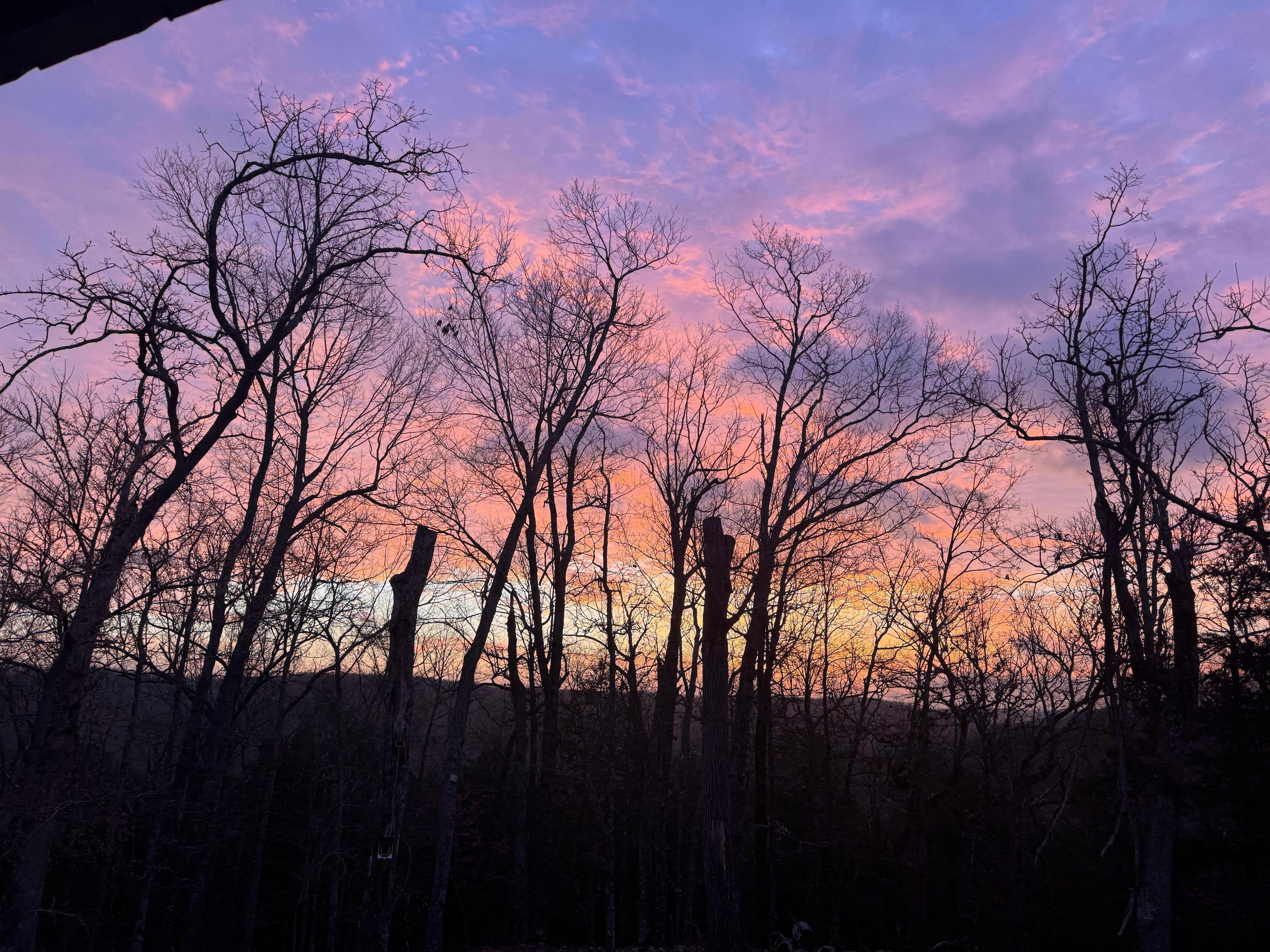 Sunrise from the side yard