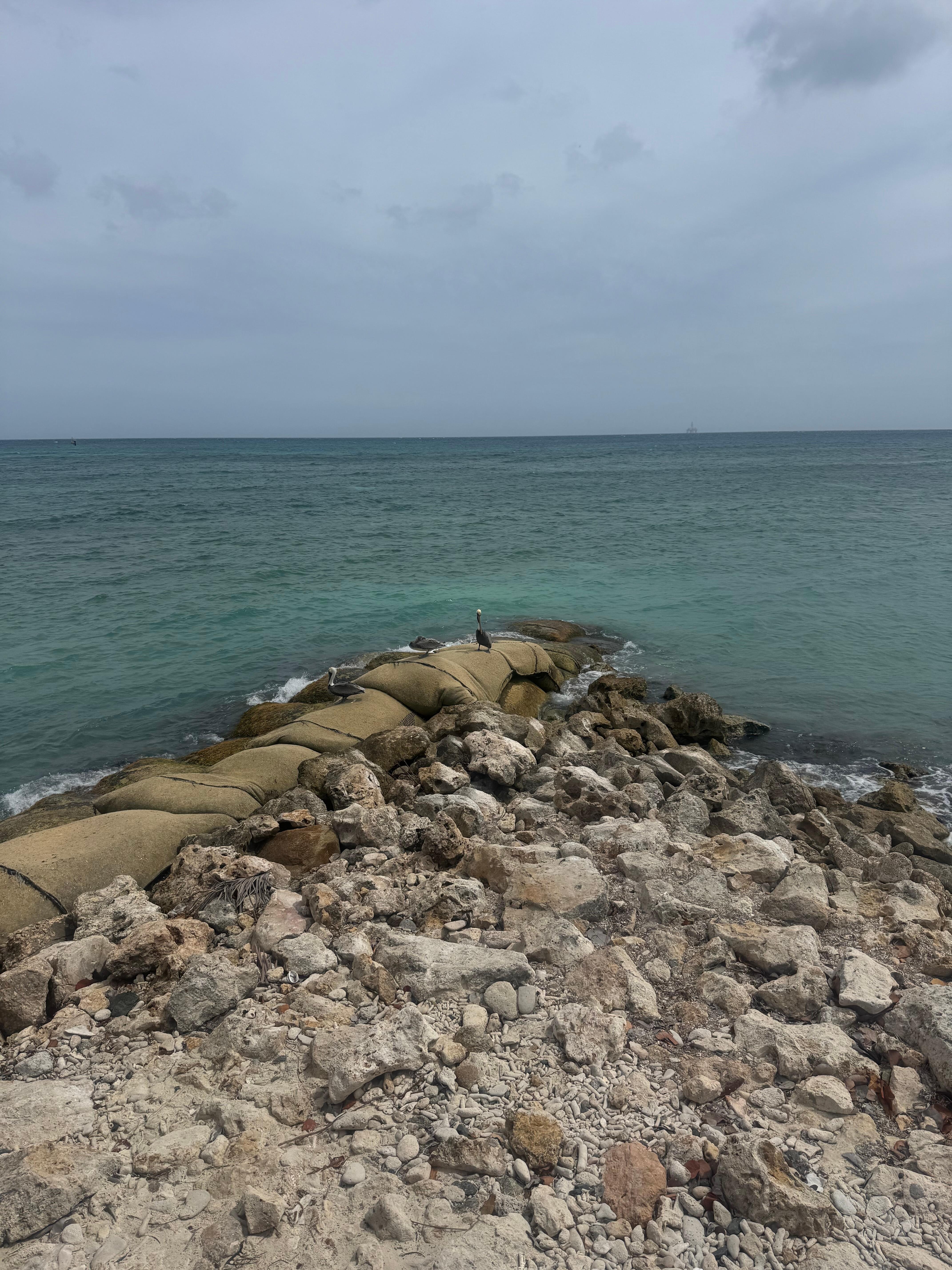 Ocean coast