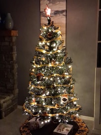 Christmas in Stillwater