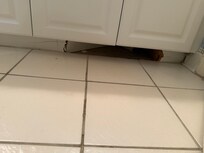 Secondary bathroom baseboard
