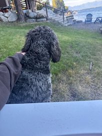 Missy was my best friend by the end of our visit.