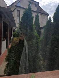this is the courtyard view of the ground floor room no 3 advertised as city view, connected the courtyard to the hotel restaurant and terrace, so I guess I was fortunate the restaurant was closed.