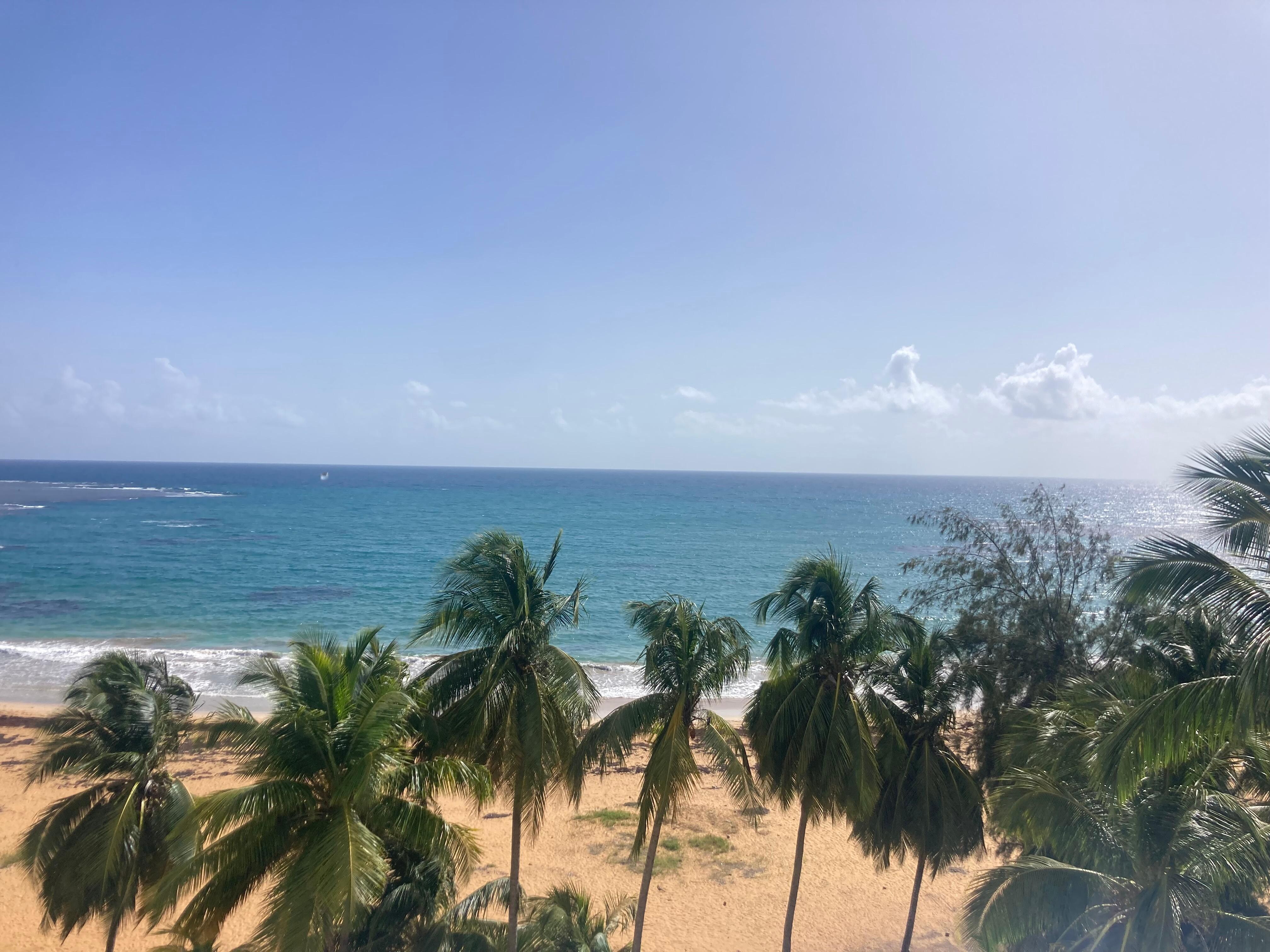 View from the balcony