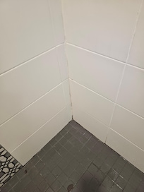 Shower corner... mold