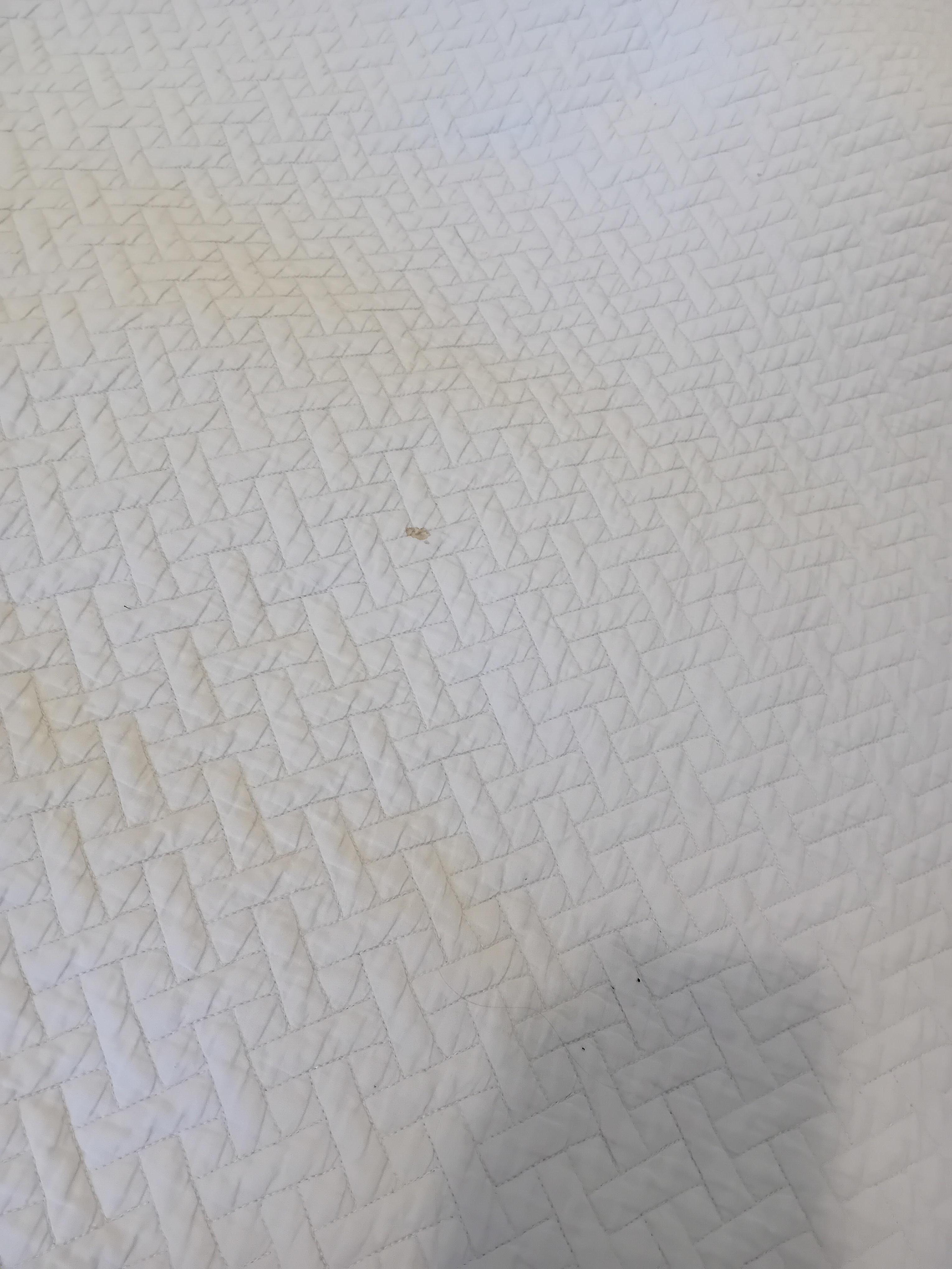 wine or blood stain on the blanket
