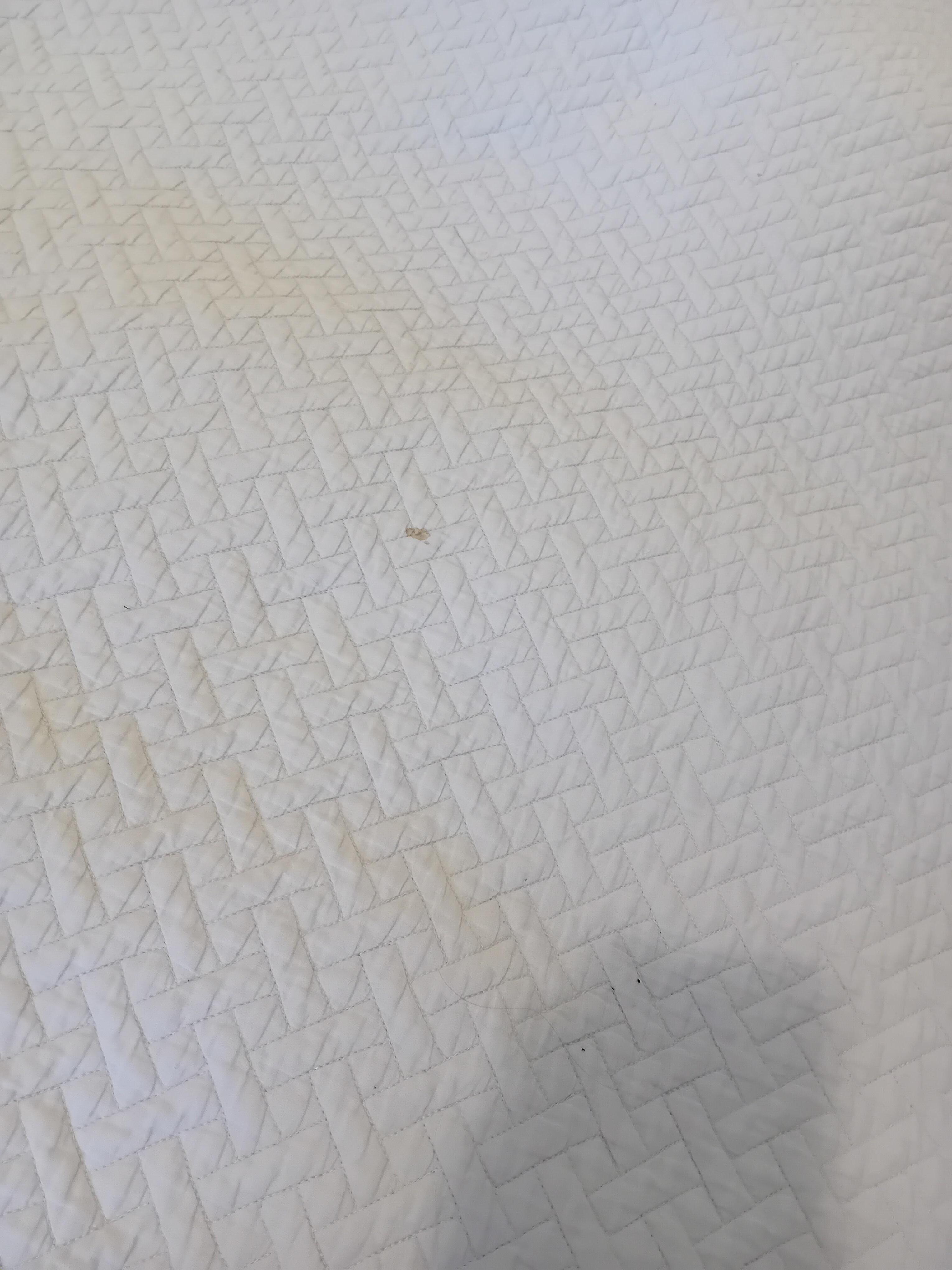 wine or blood stain on the blanket