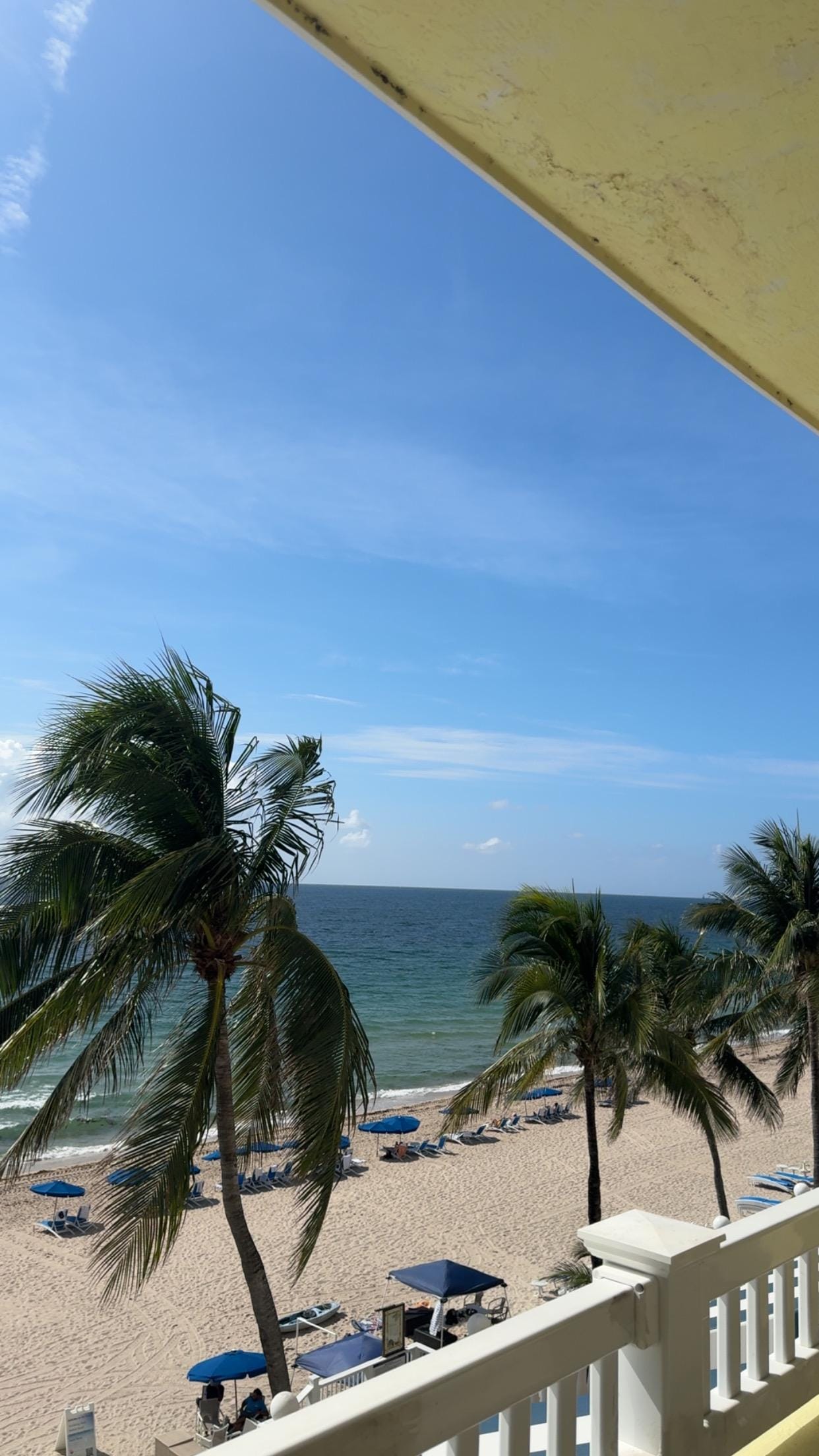 View from suite