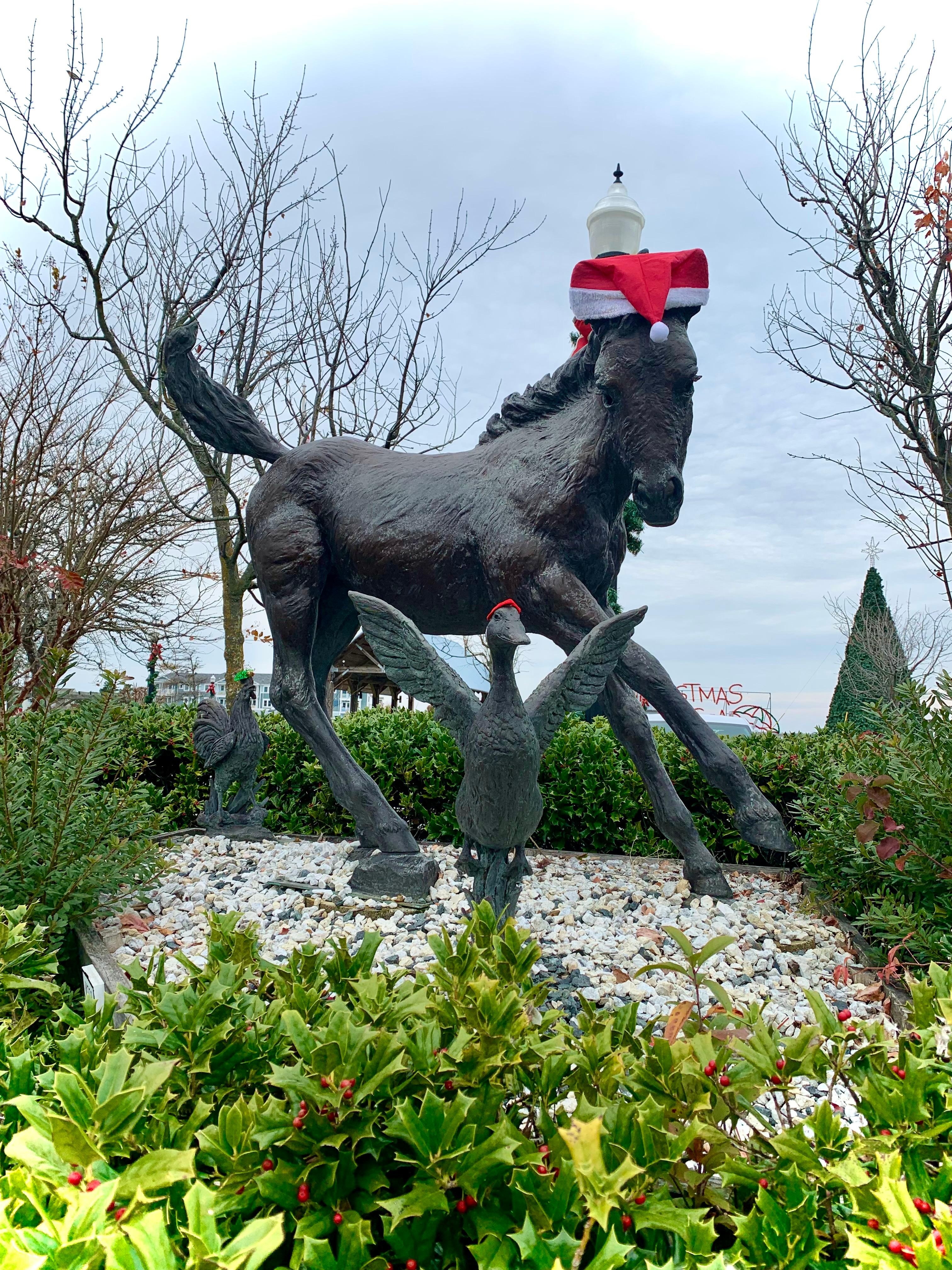 Chincoteague is the most community forward town we've visited