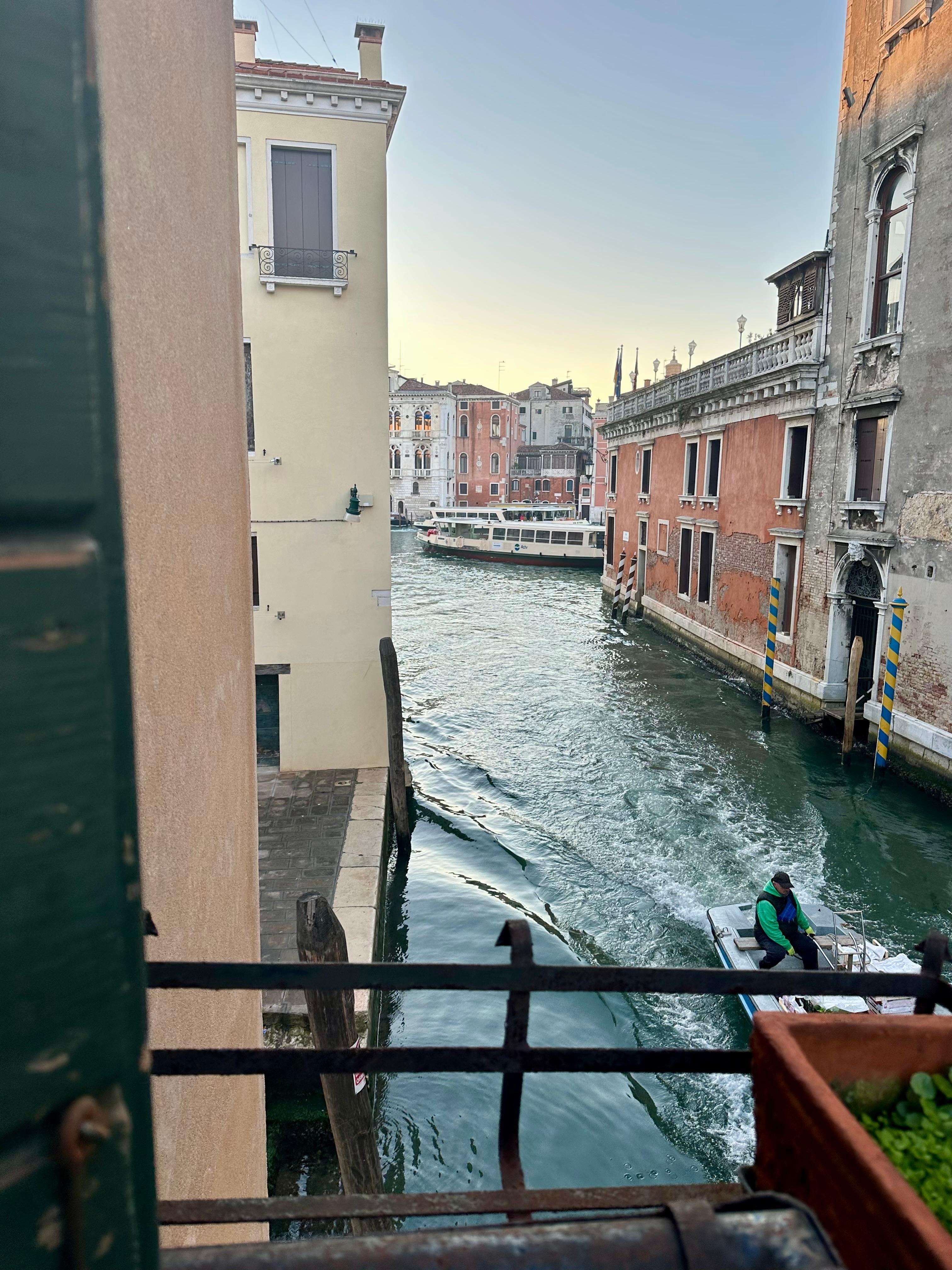 Morning view from the flat. 