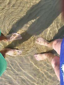 Shallow, clear waters