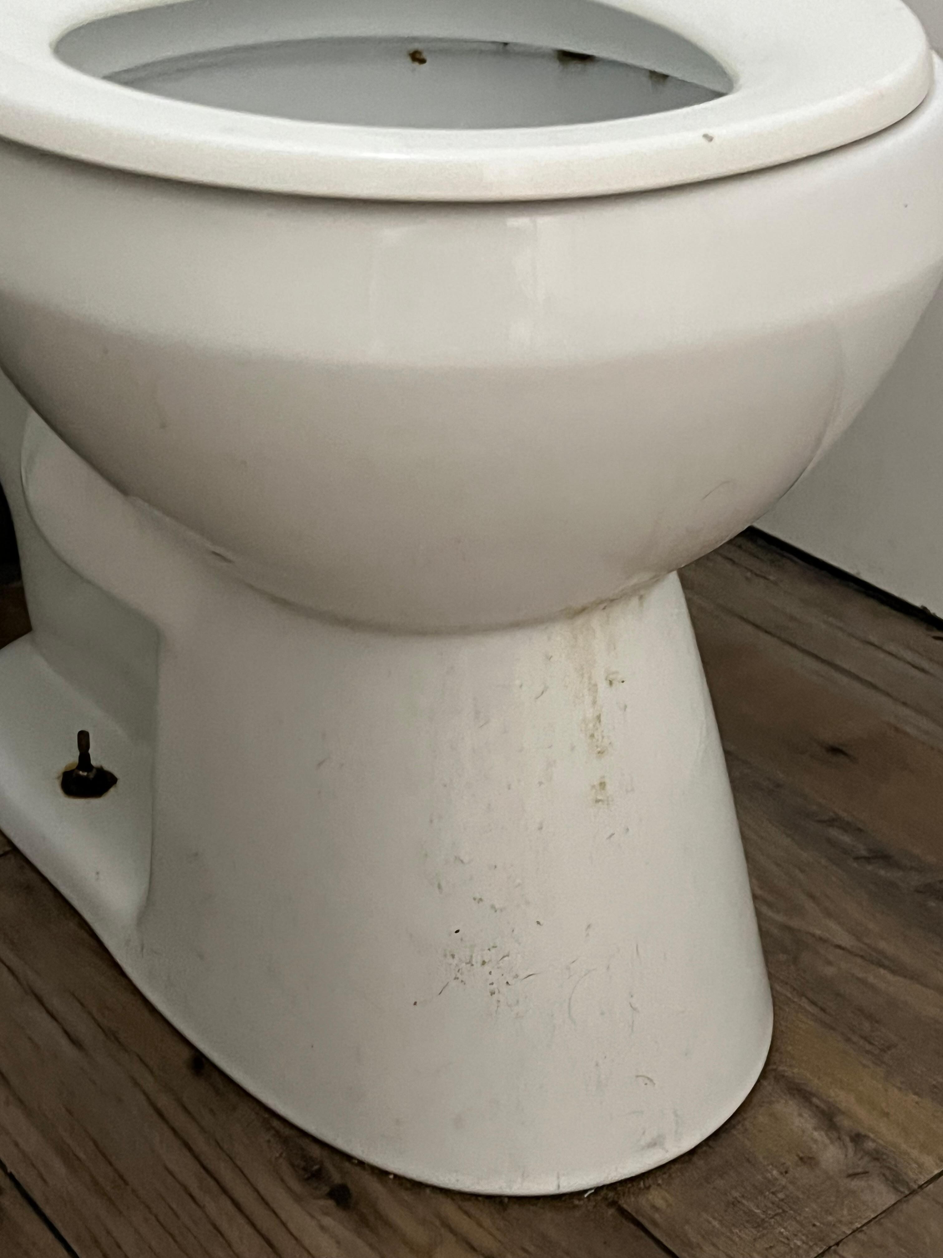 Base toilet, yuck.