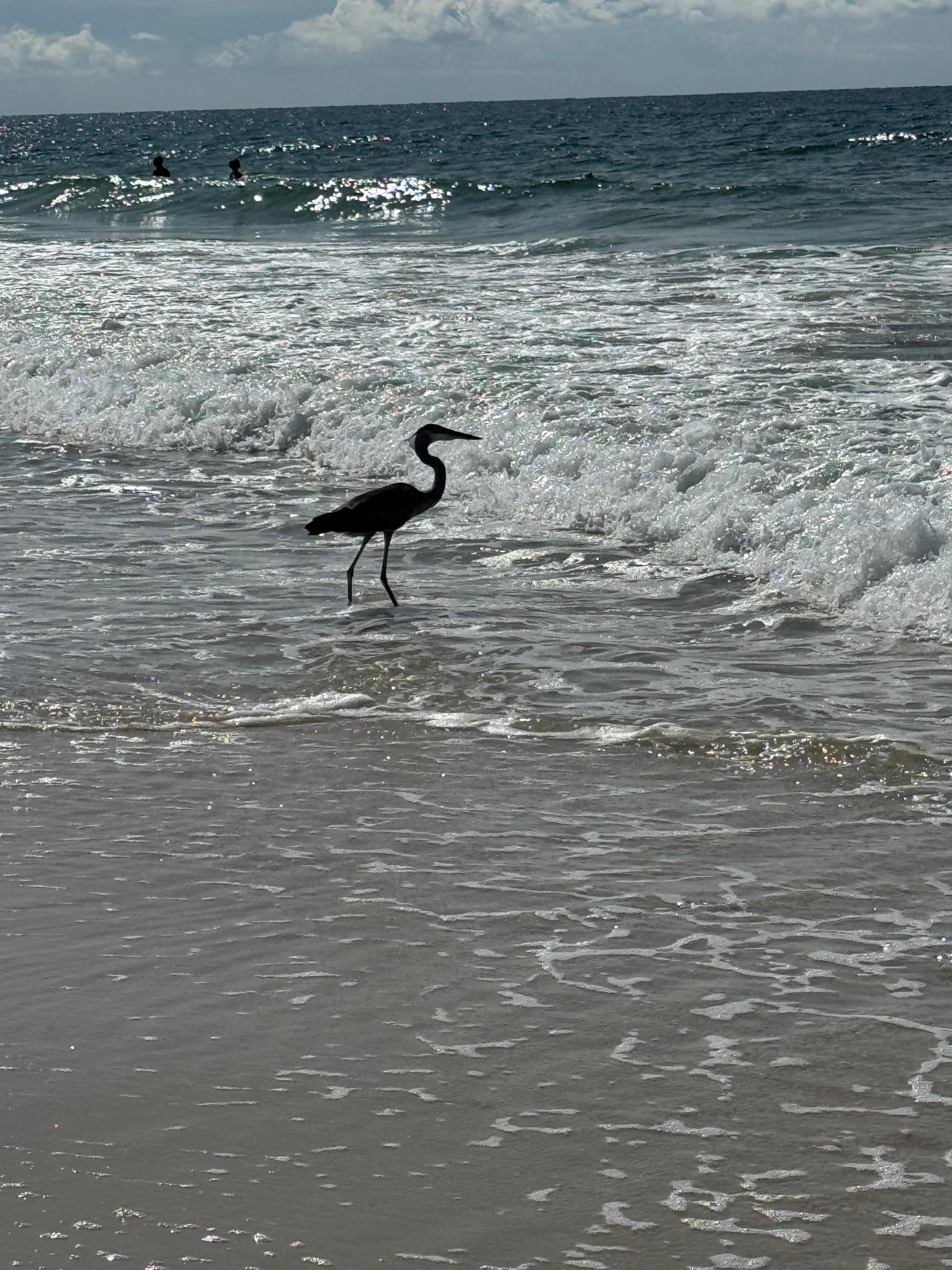 Beautiful ocean