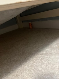 Yogurt container under bed