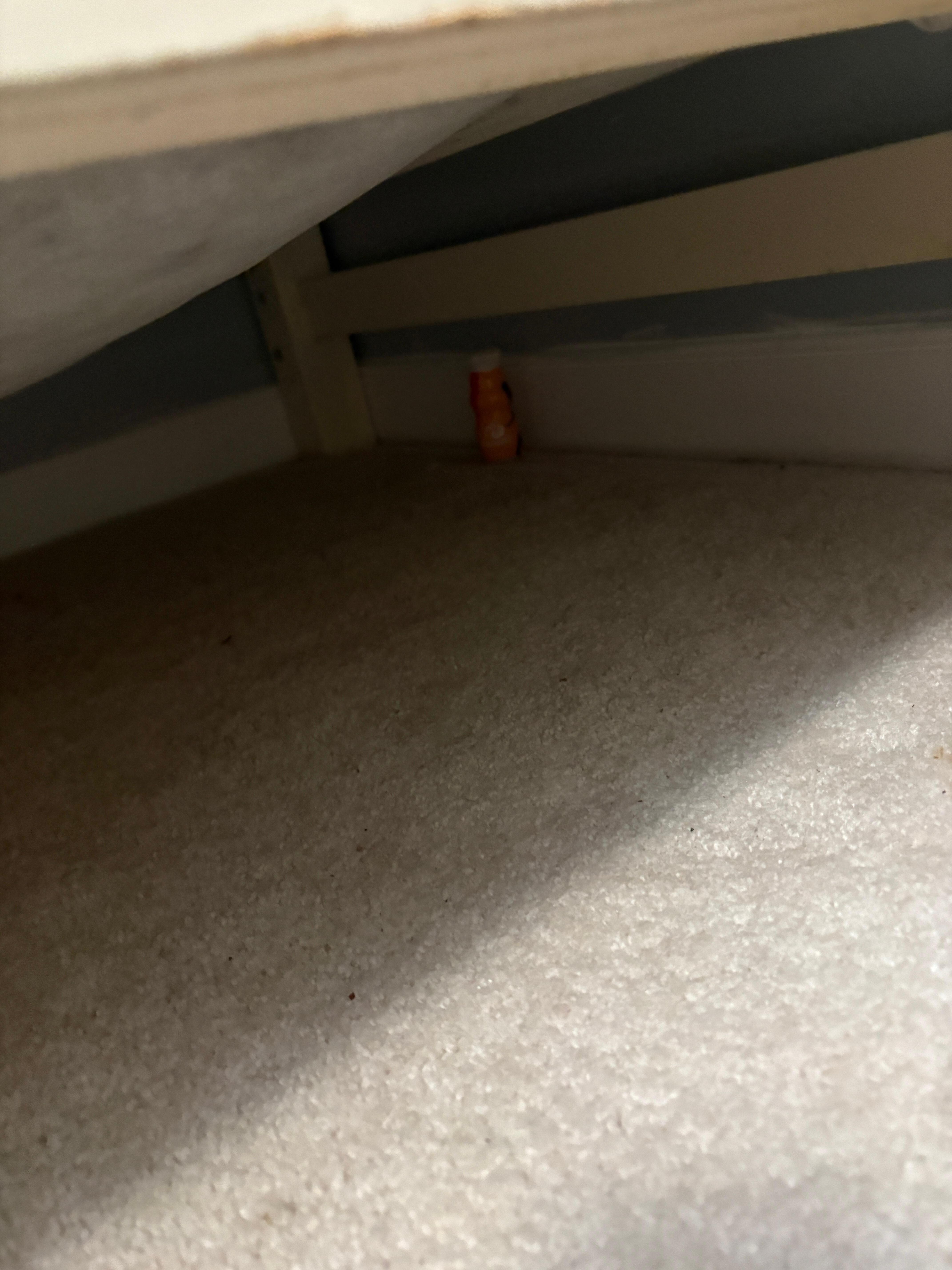 Yogurt container under bed