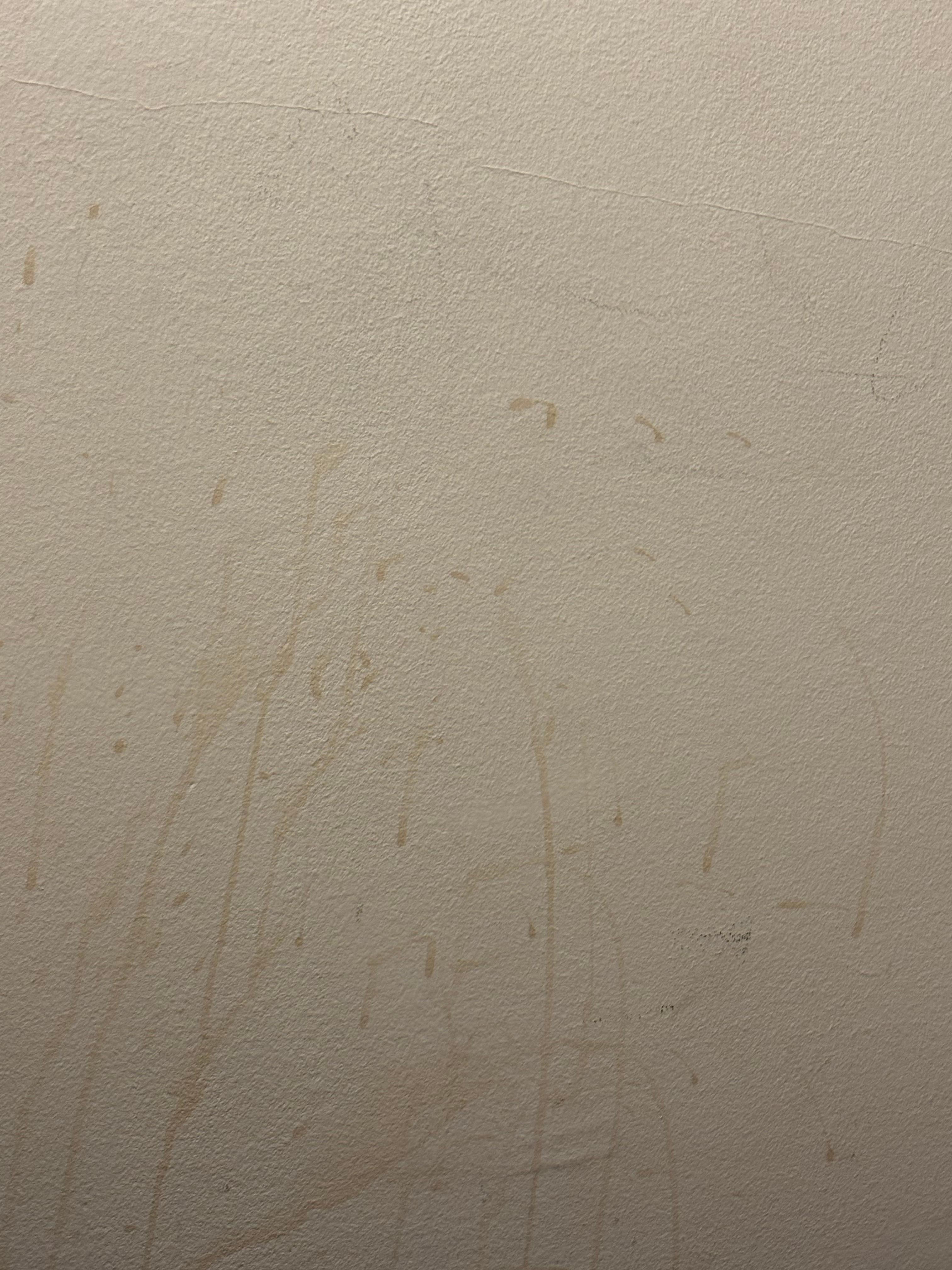 The wall next to the bed 
