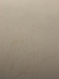 The wall next to the bed