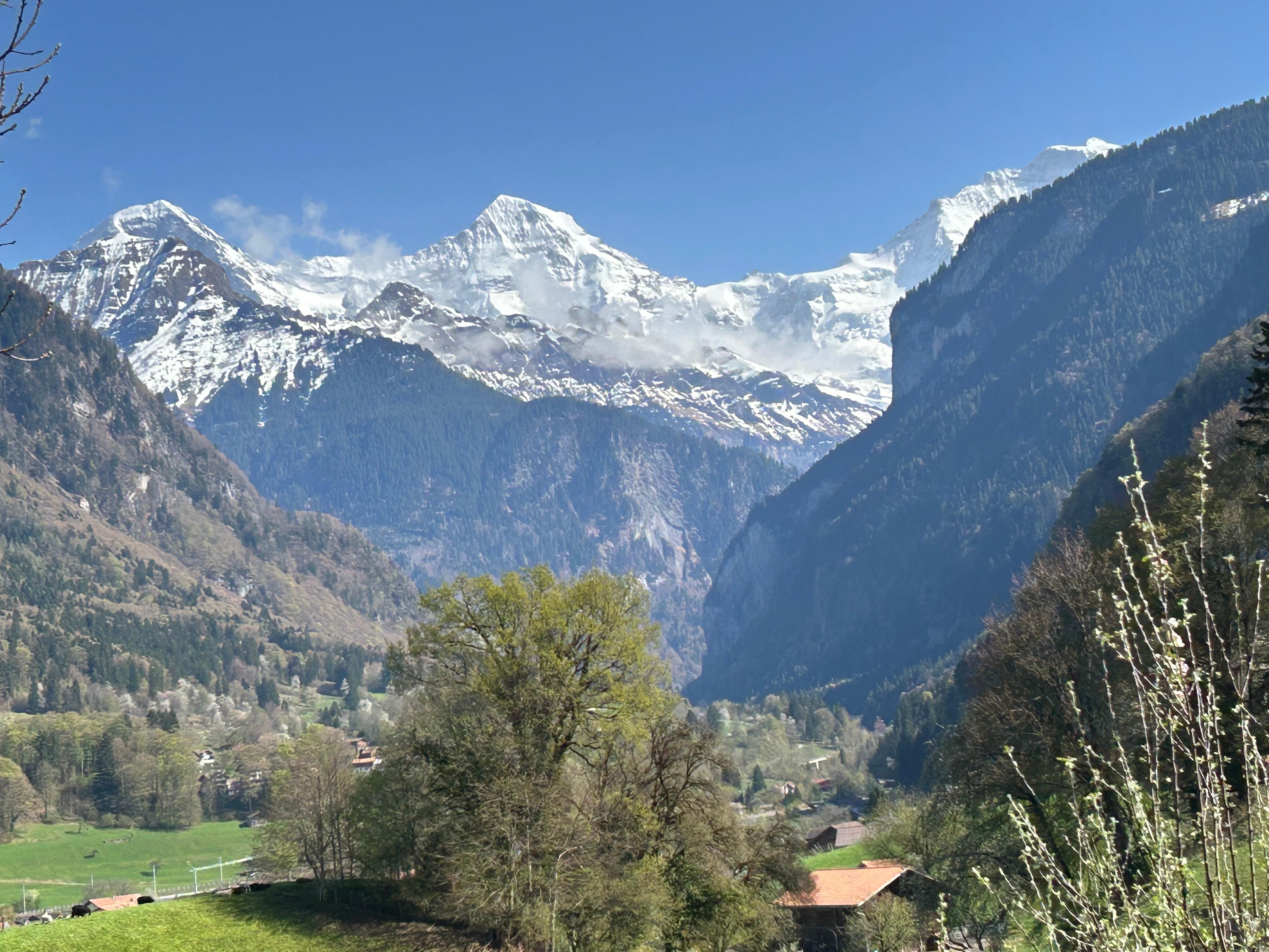 View from common area