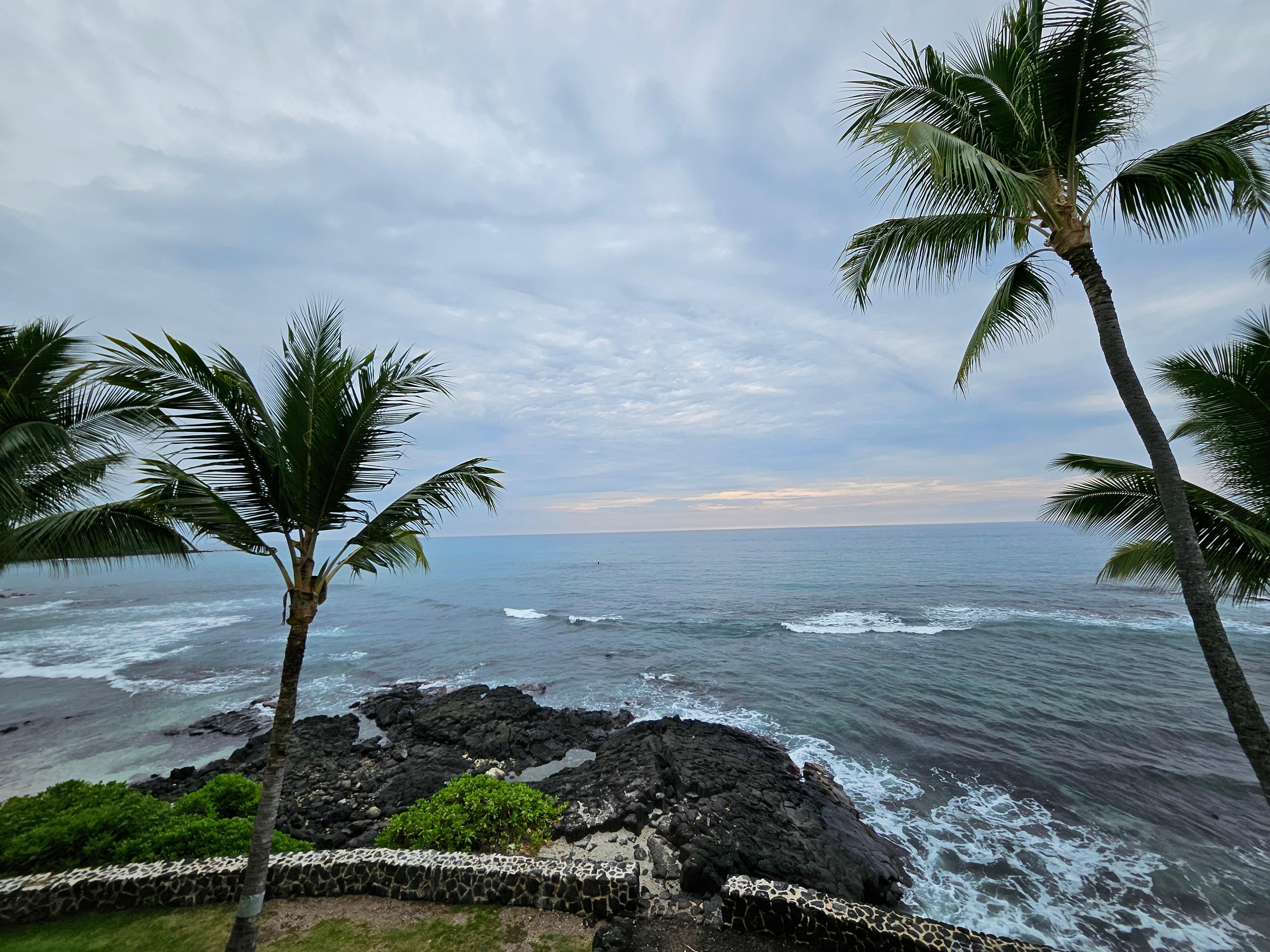 Your view if checking in November.