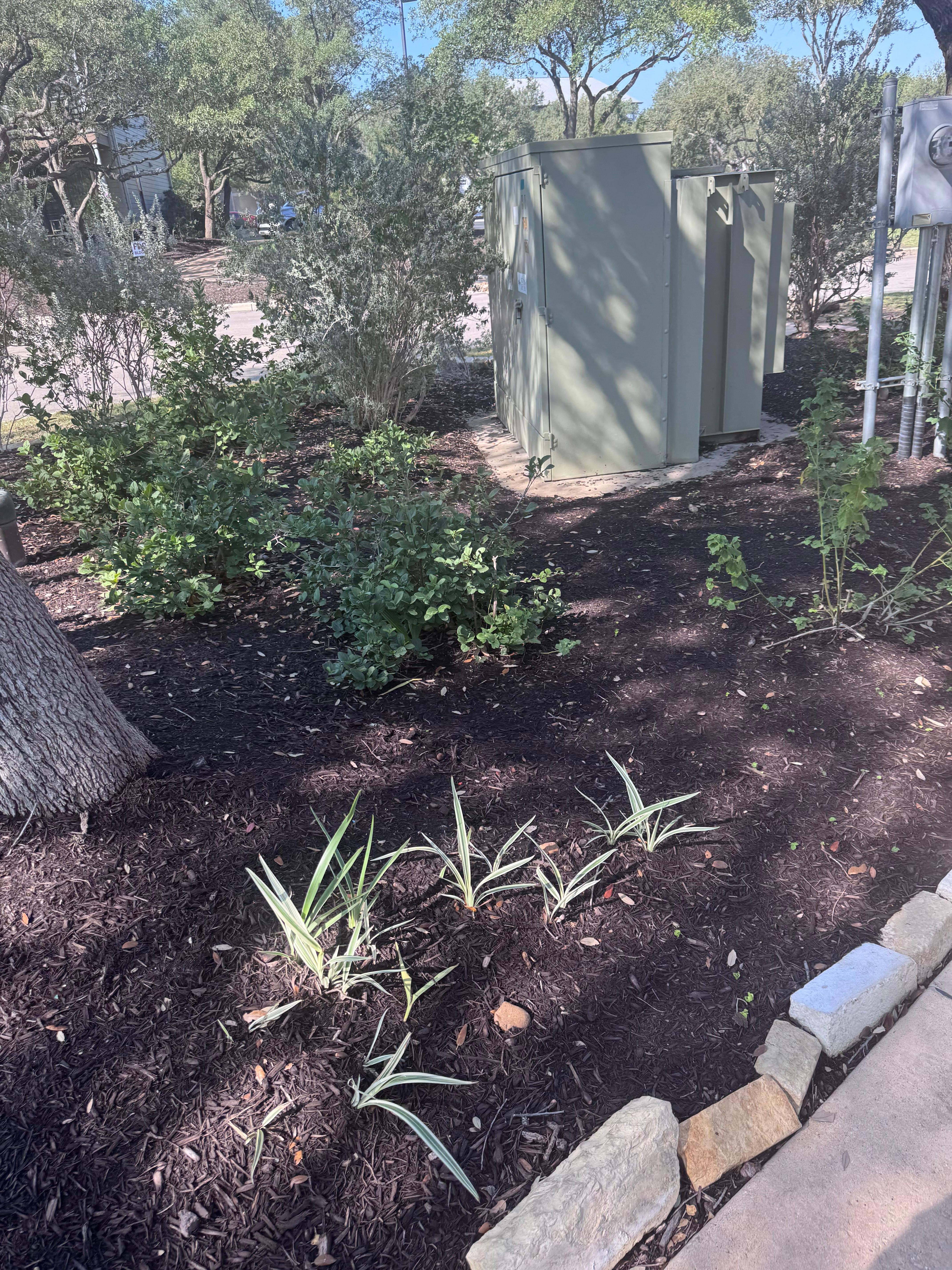  Beautiful landscaping.