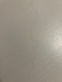 Long black hair on wall!