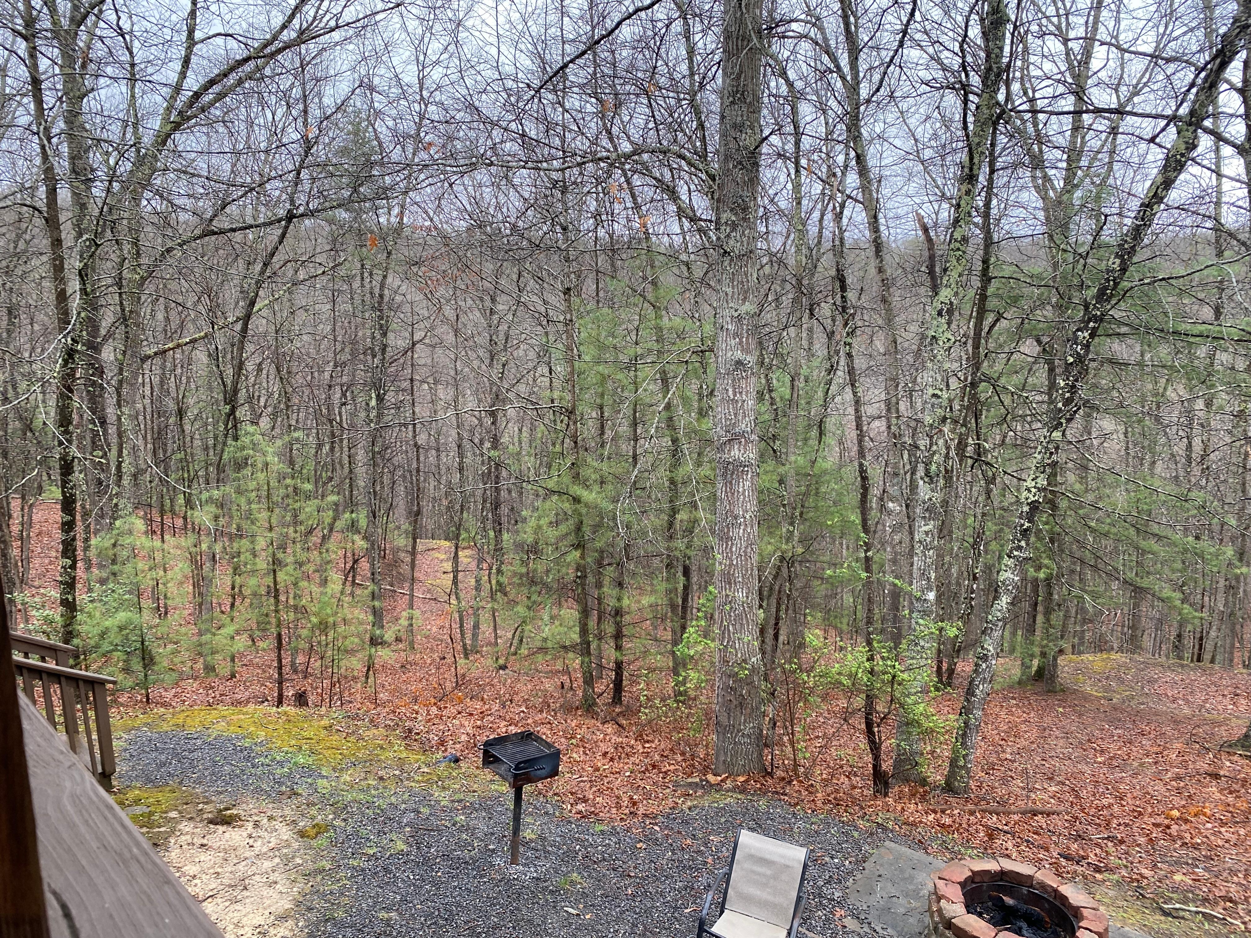 Views from the second floor to the back yard