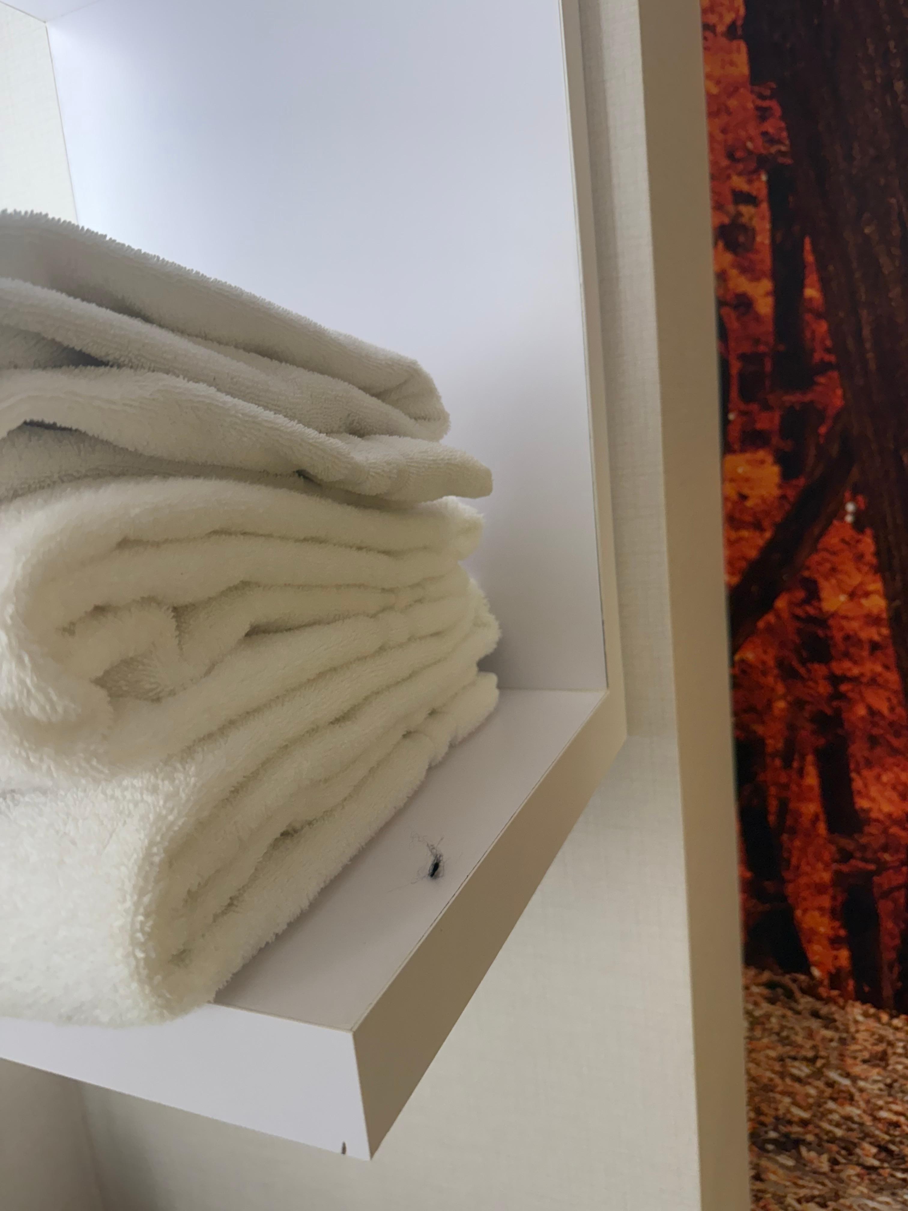 Hair next to clean towels 