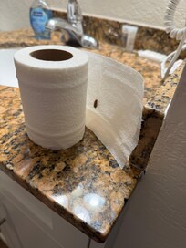 Roach on a roll of toilet paper this morning. We found at least one or two each day.