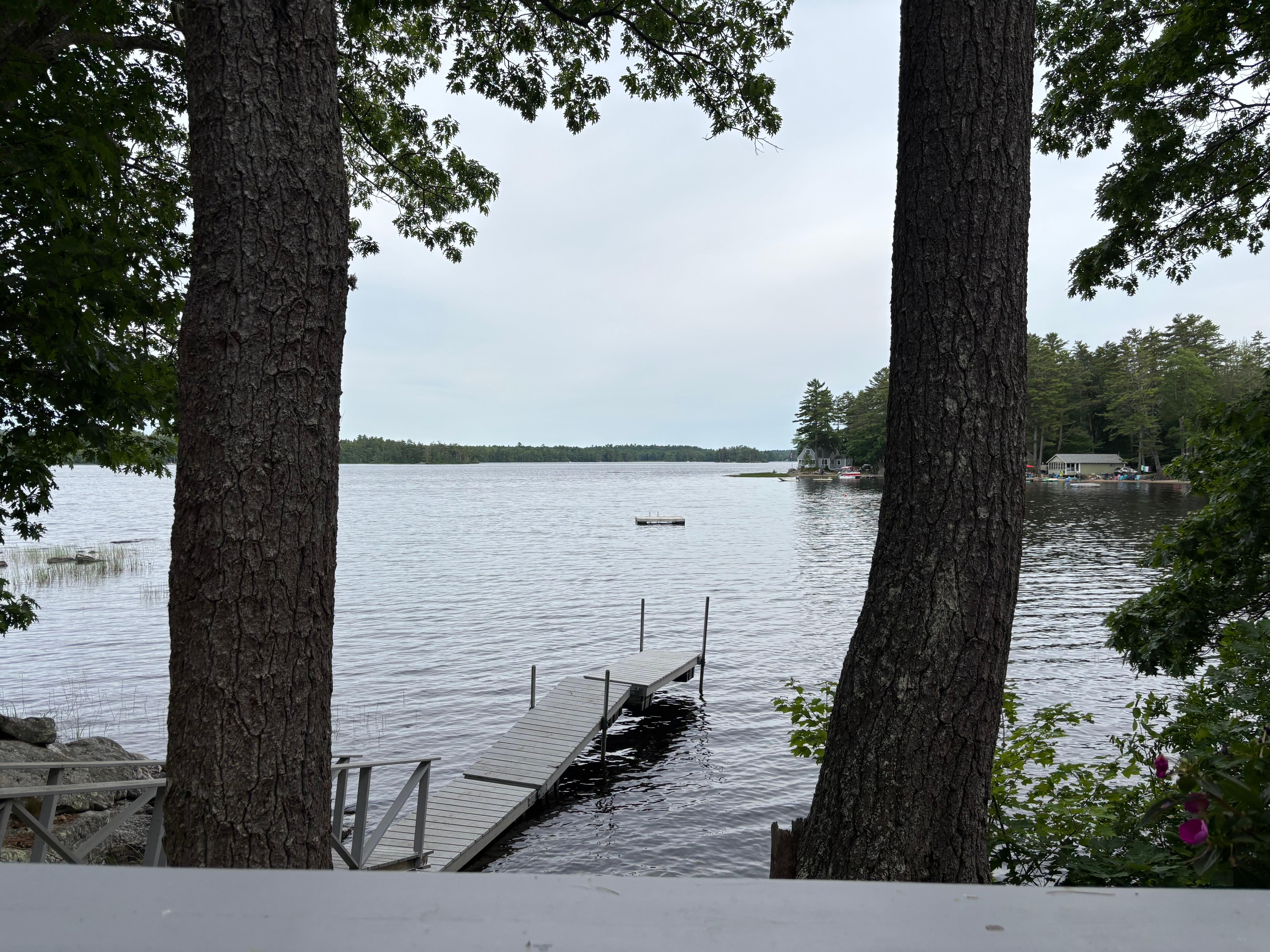 The view from the cottage.