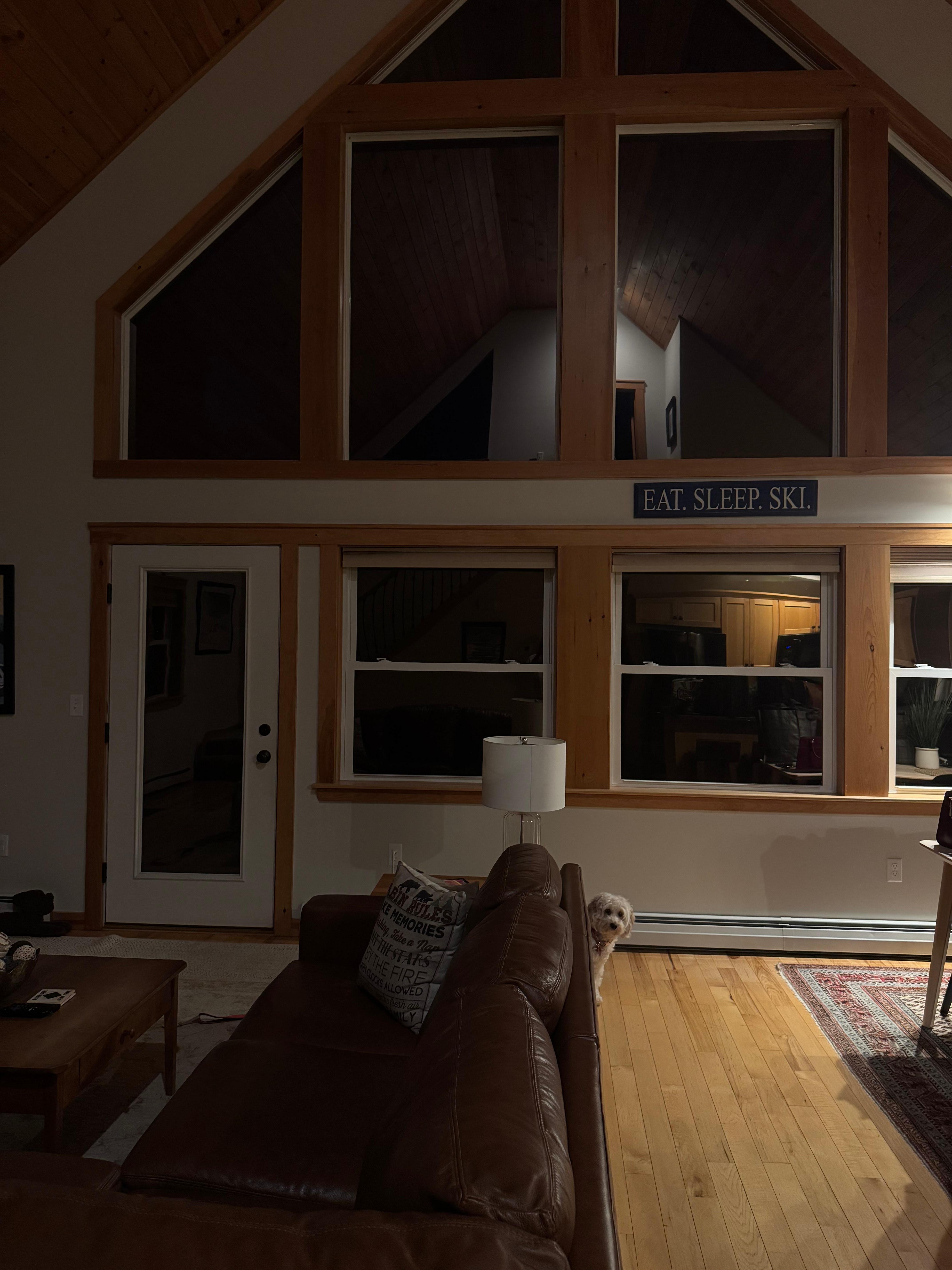 Daisy peeking out behind the couch on the first night! Too cute