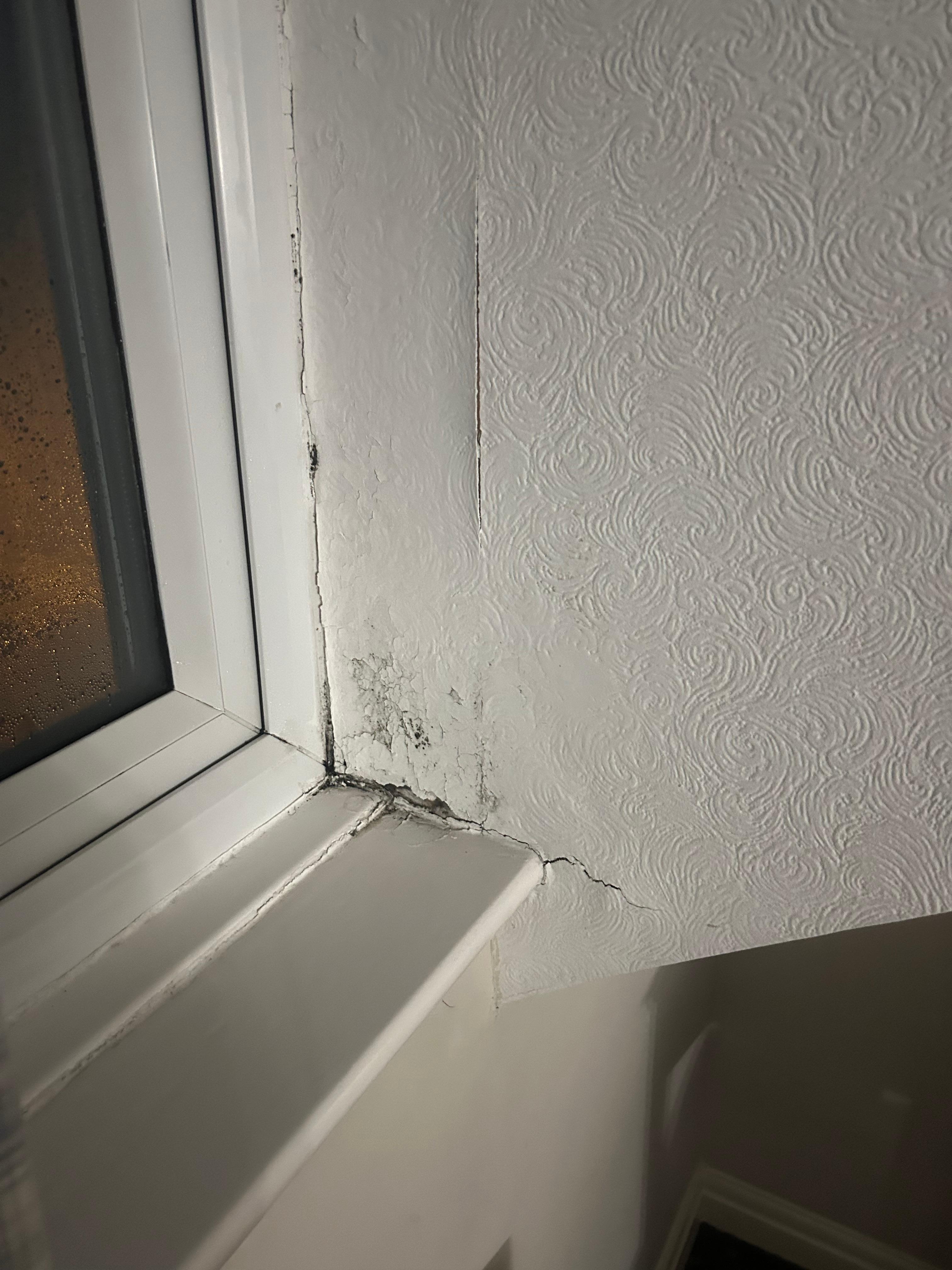 The wall was falling off the decoration was coming off and mould was everywhere 