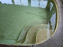 Pool needs cleaned