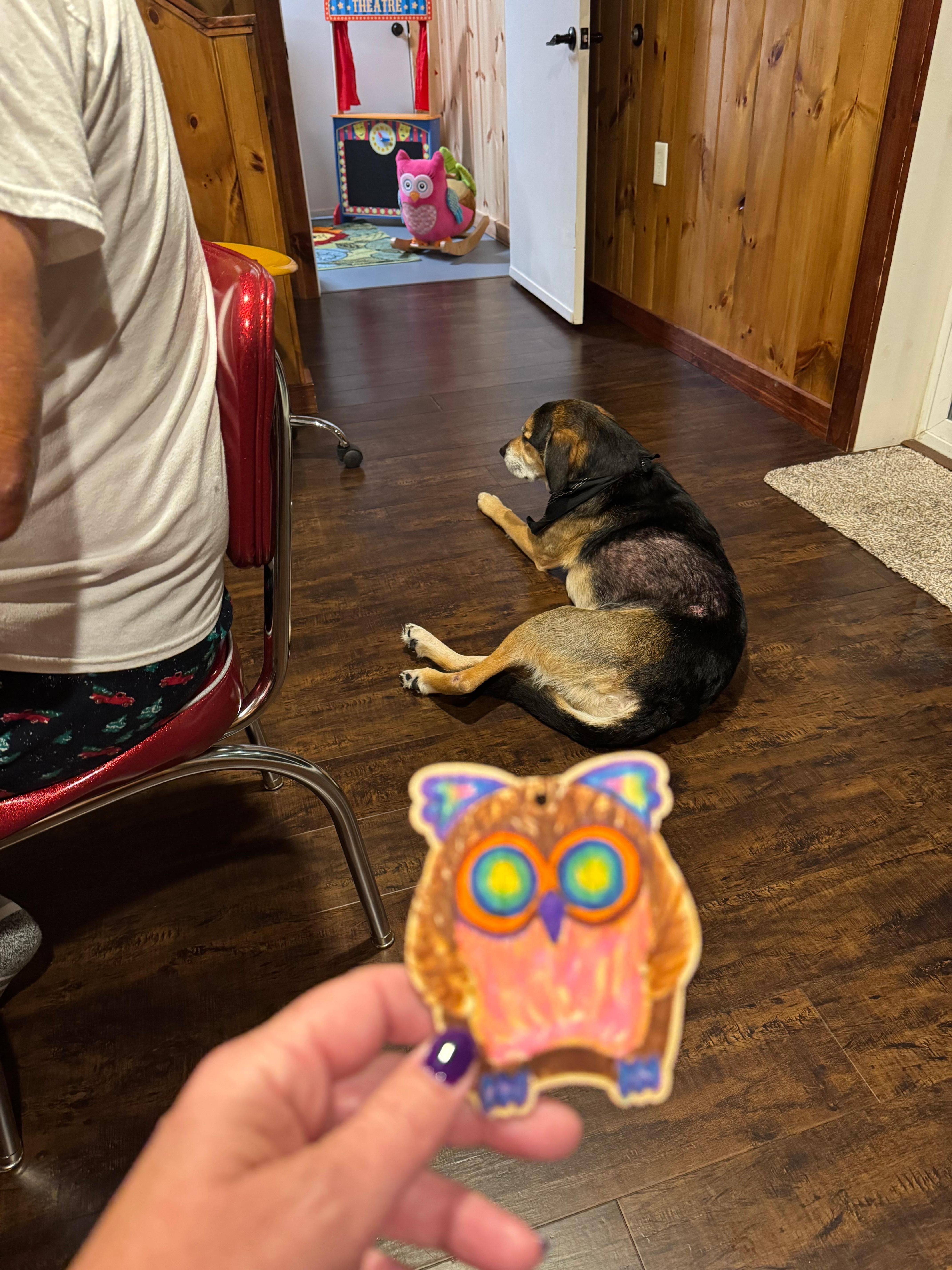 In the game room coloring owls