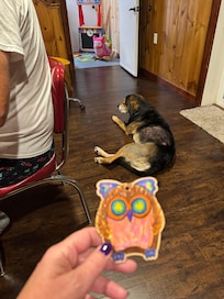 In the game room coloring owls