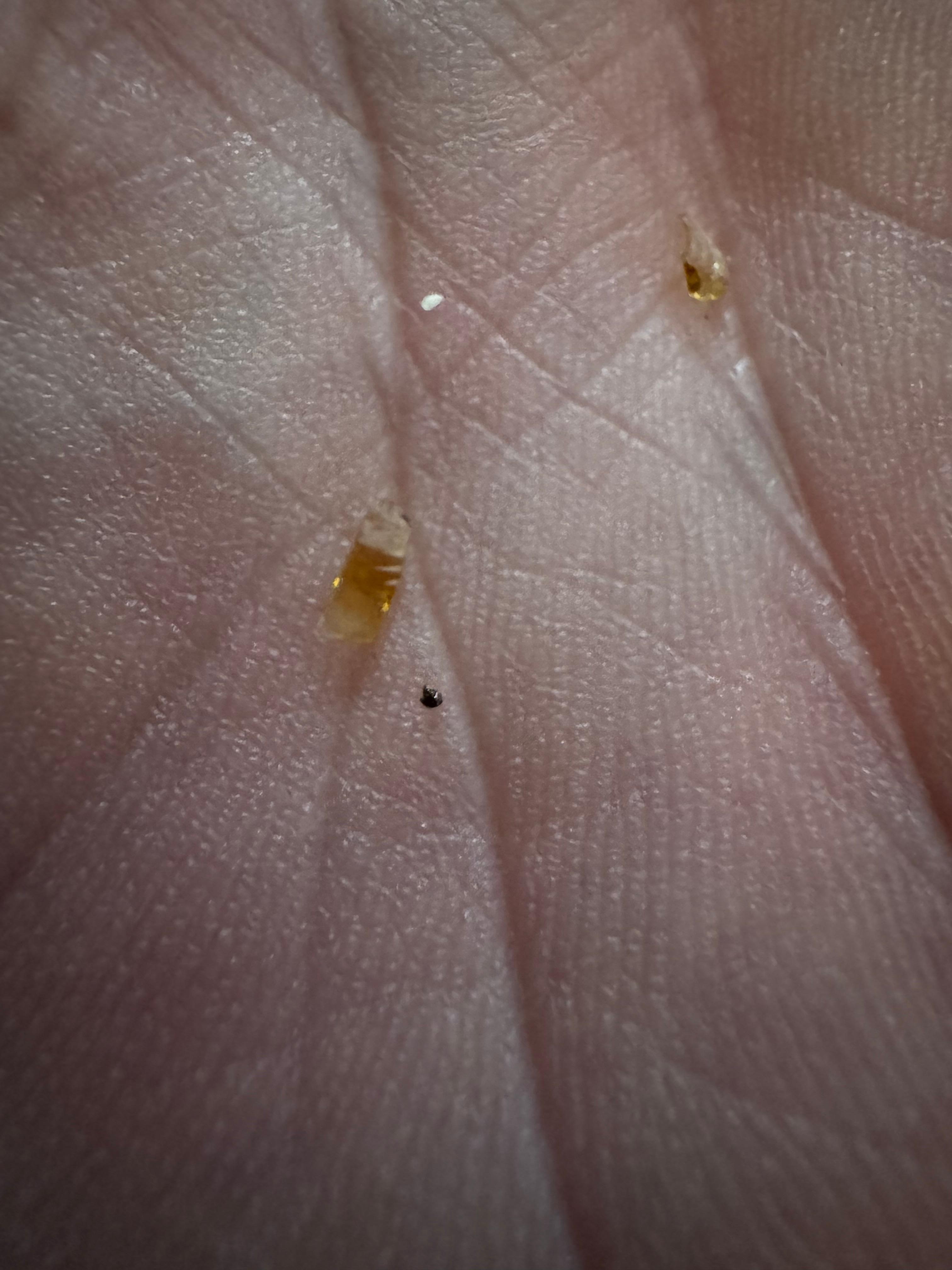 A couple of the chards of glass.  There was a larger piece that my son threw away before the picture and possibly more left on the couch.