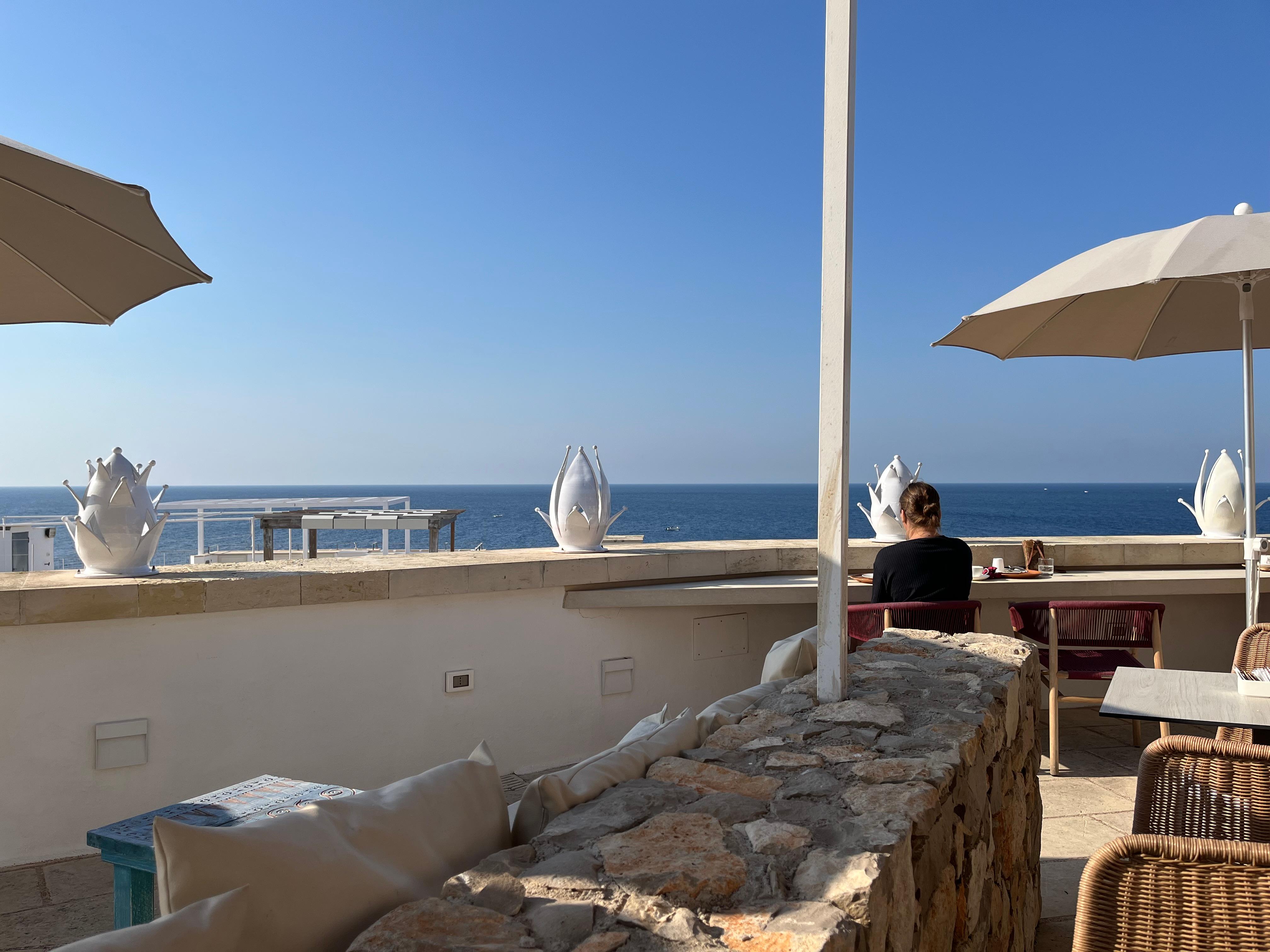 Vue depuis la terrasse du petit déjeuner 