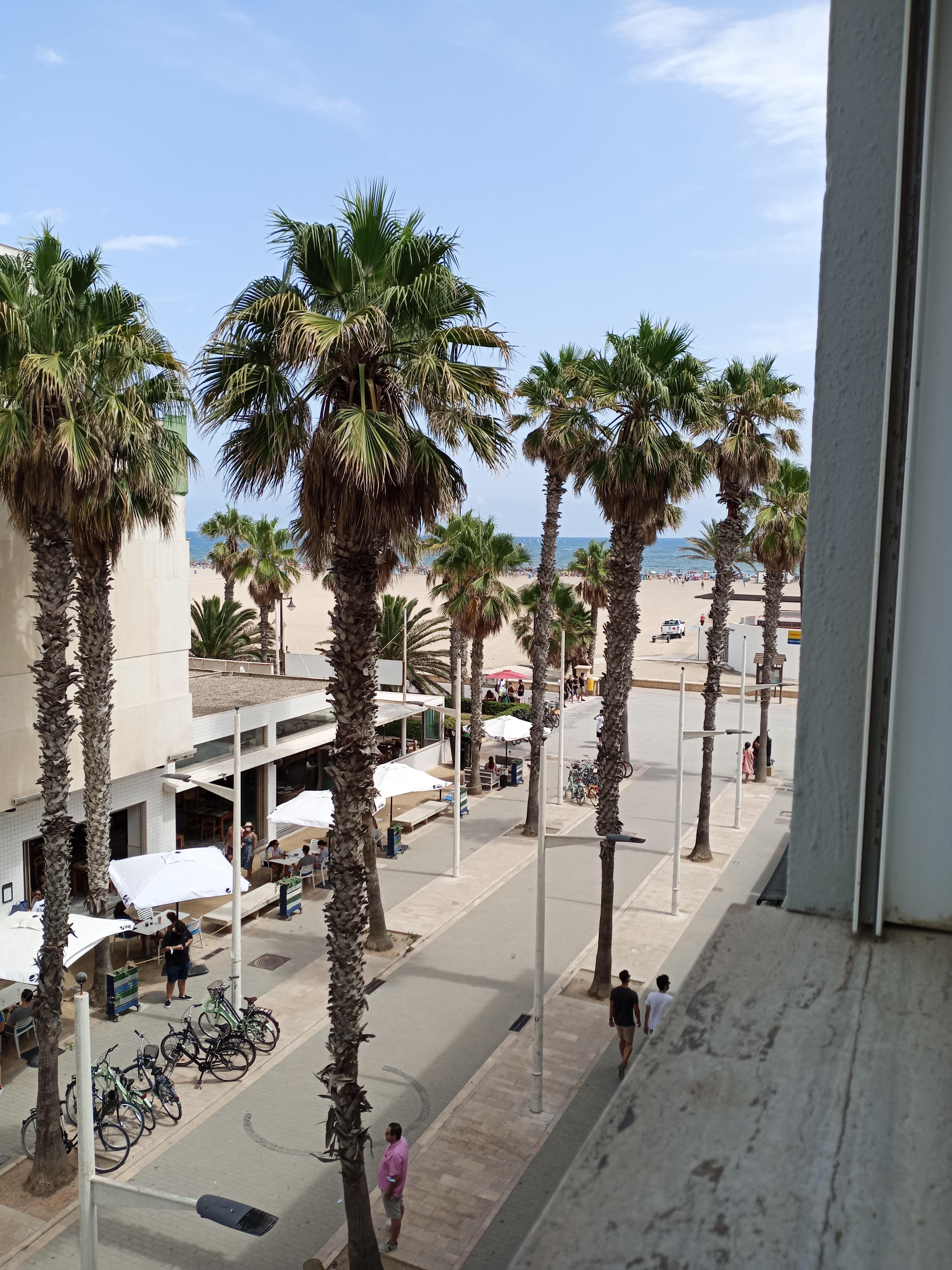 Vistas desde la ventana de la habitacion, que tambien contaba con terraza