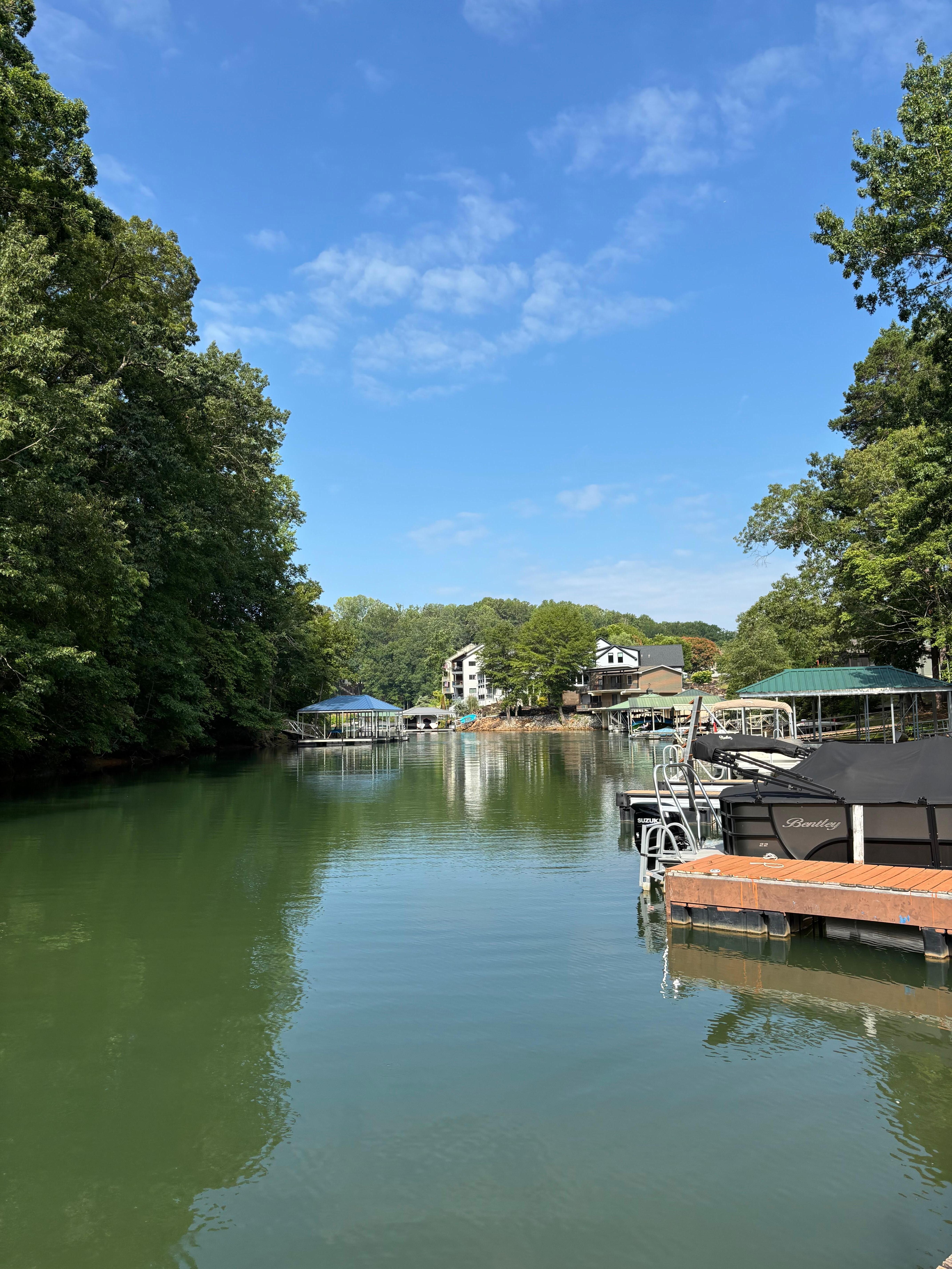 View from the dock