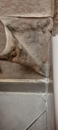 Mold in the bathroom
Wallpaper just hanging. Maintenance came in and glued it back up.