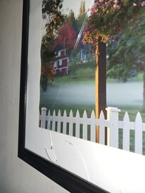 Broken picture on the wall. Just an idea of the care this place gets